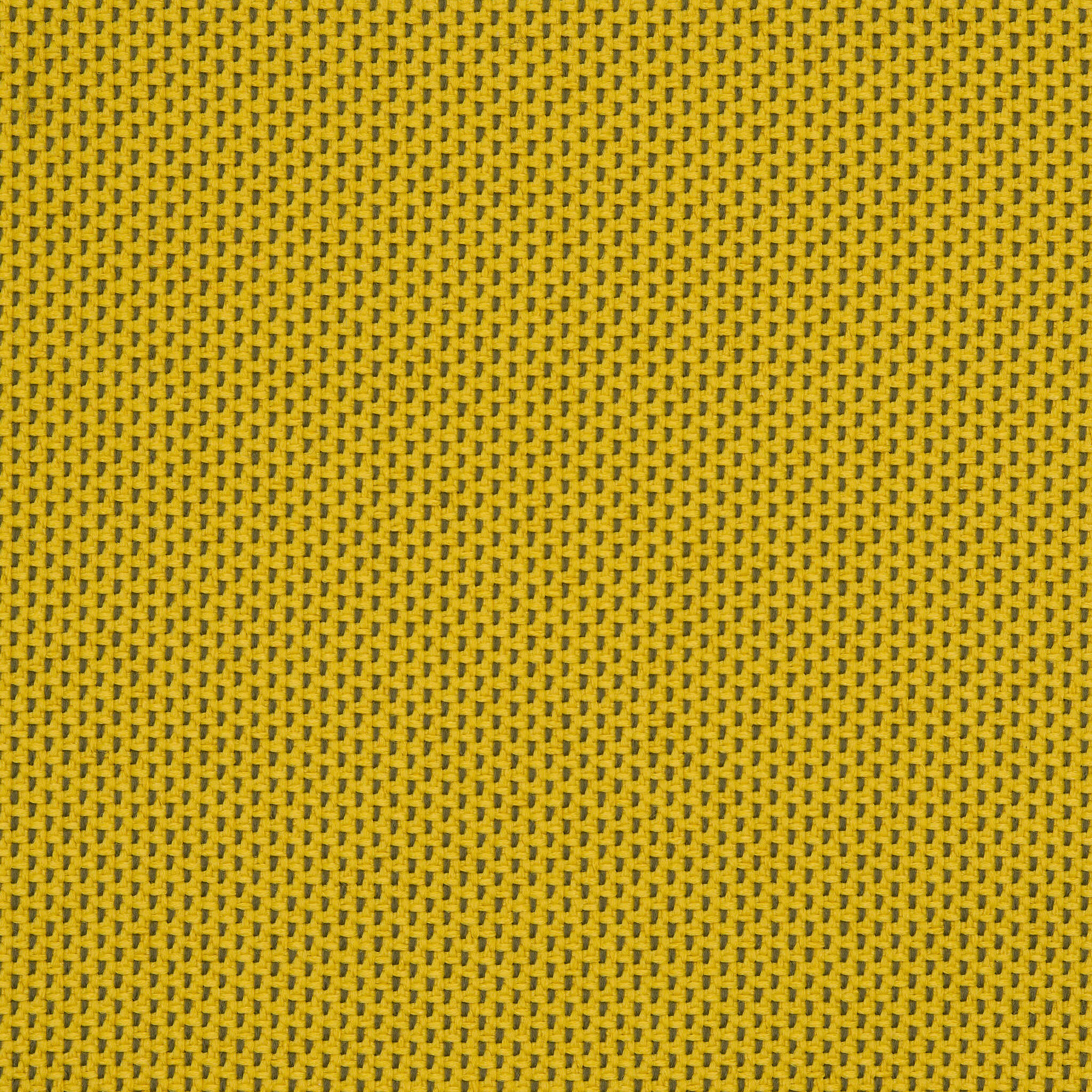 Camira_REP16