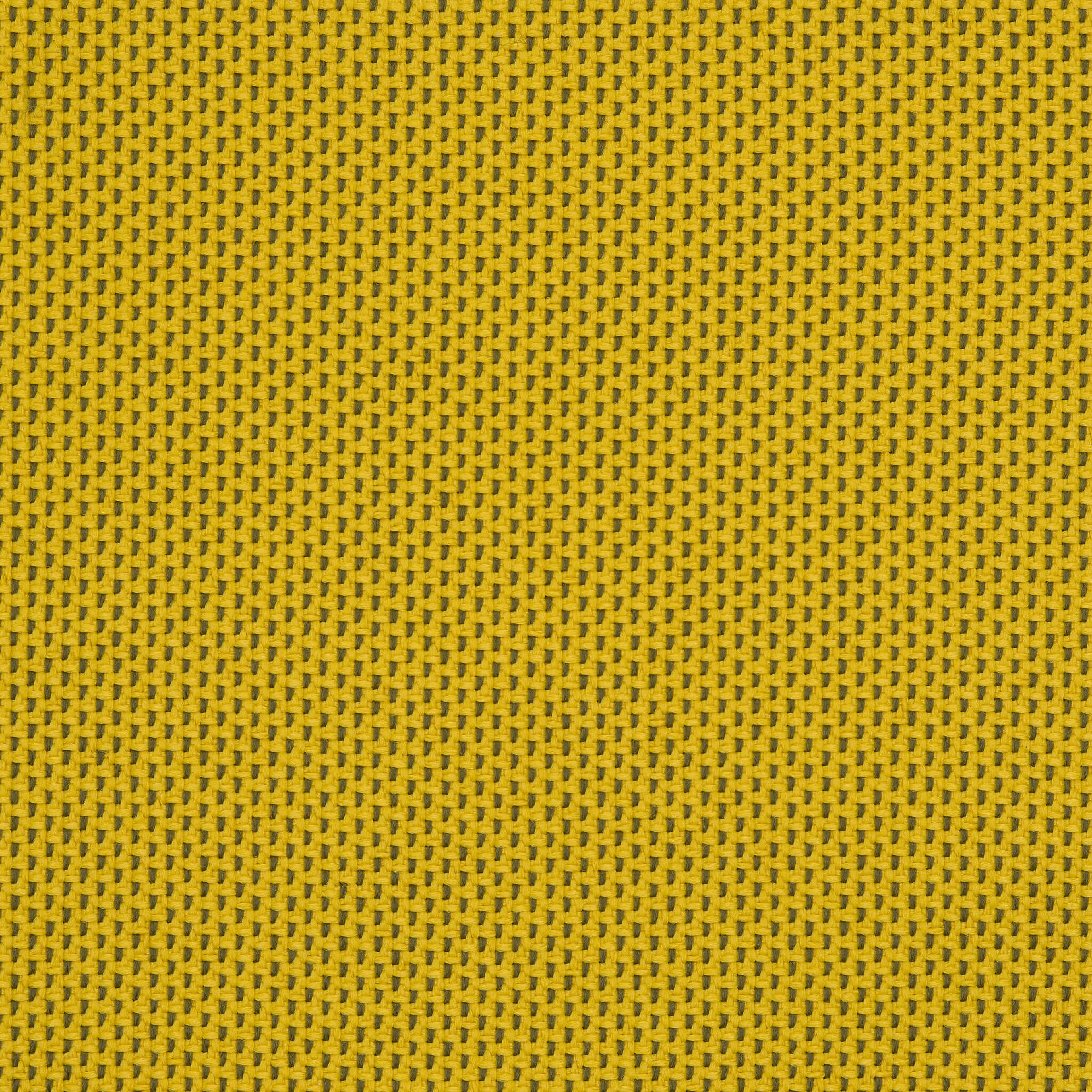 Camira_REP16 Camira_REP16