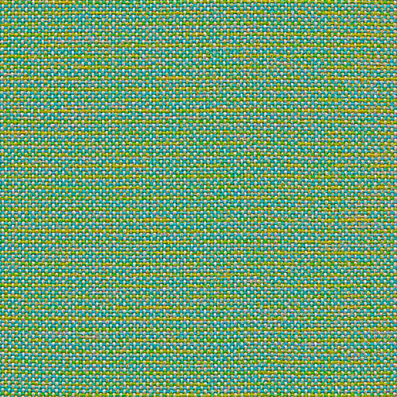 CLW19_WEB