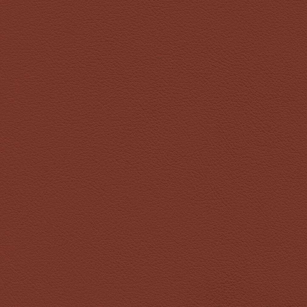 VIN71_WEB