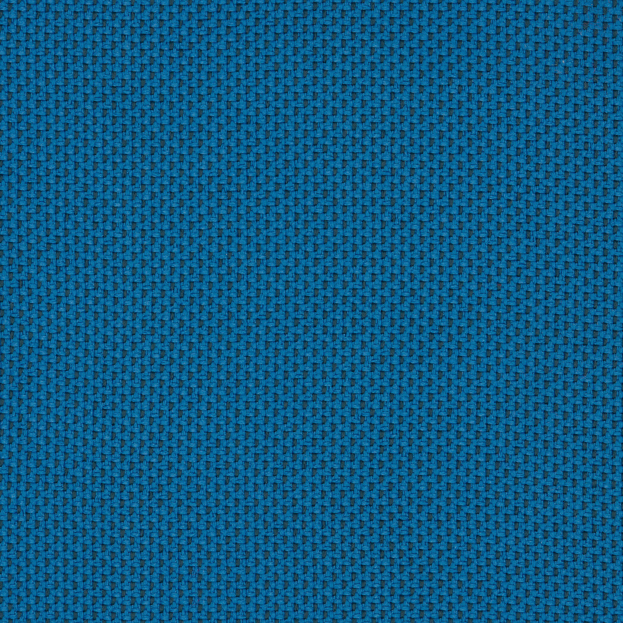 Camira_REP04