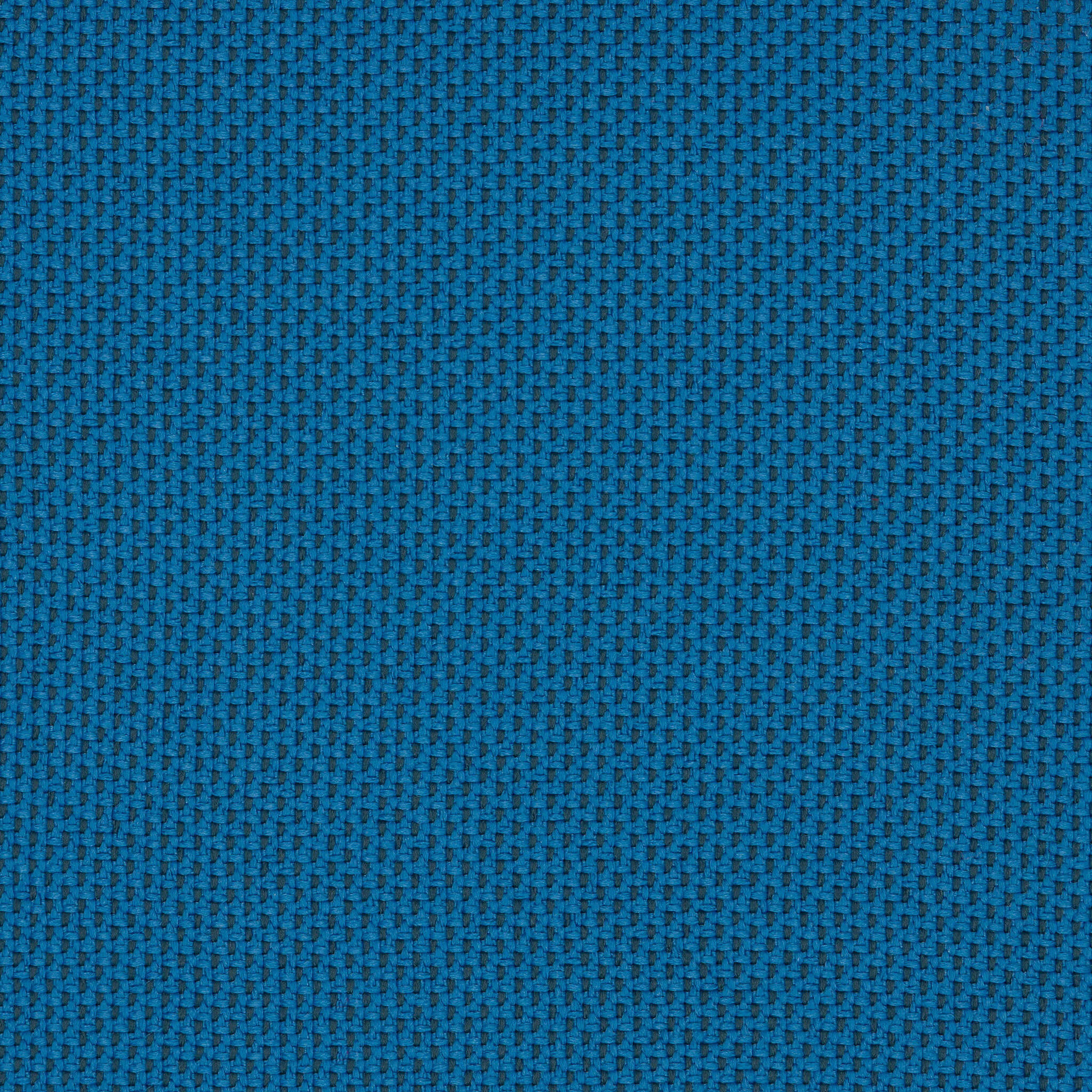 Camira_REP04 Camira_REP04