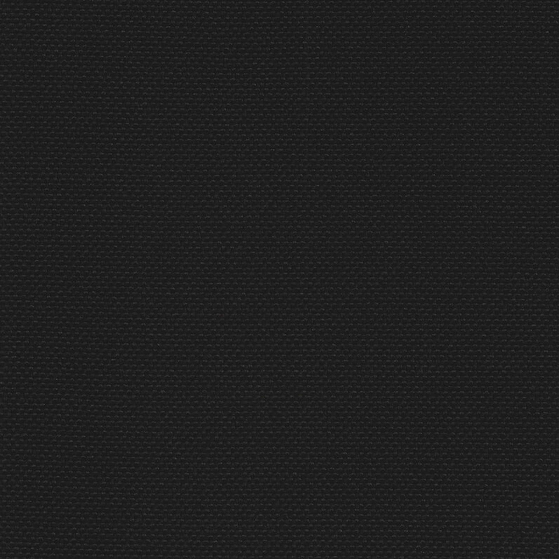 QUE01_WEB