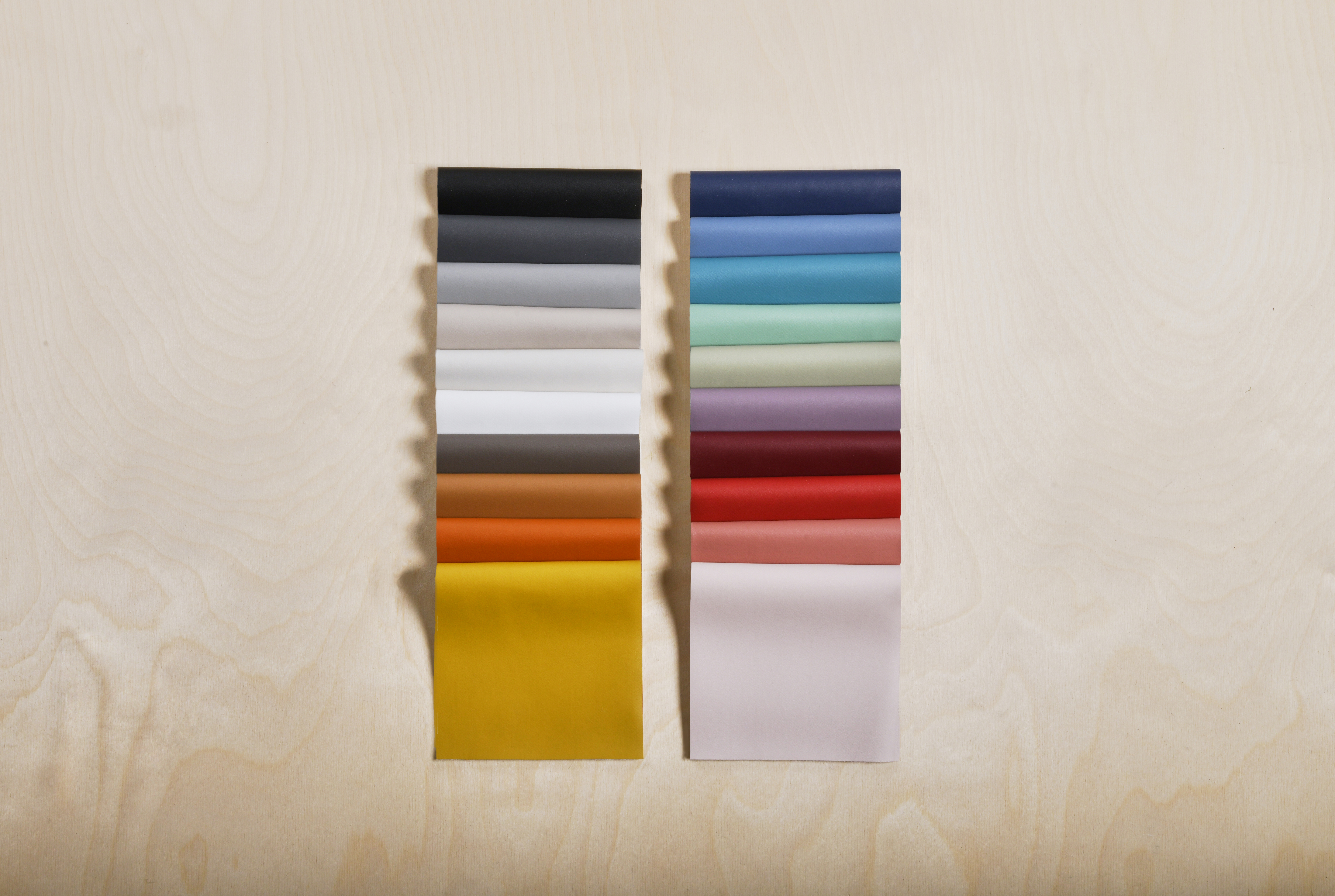Camira June 20200003 7 RT Cropped