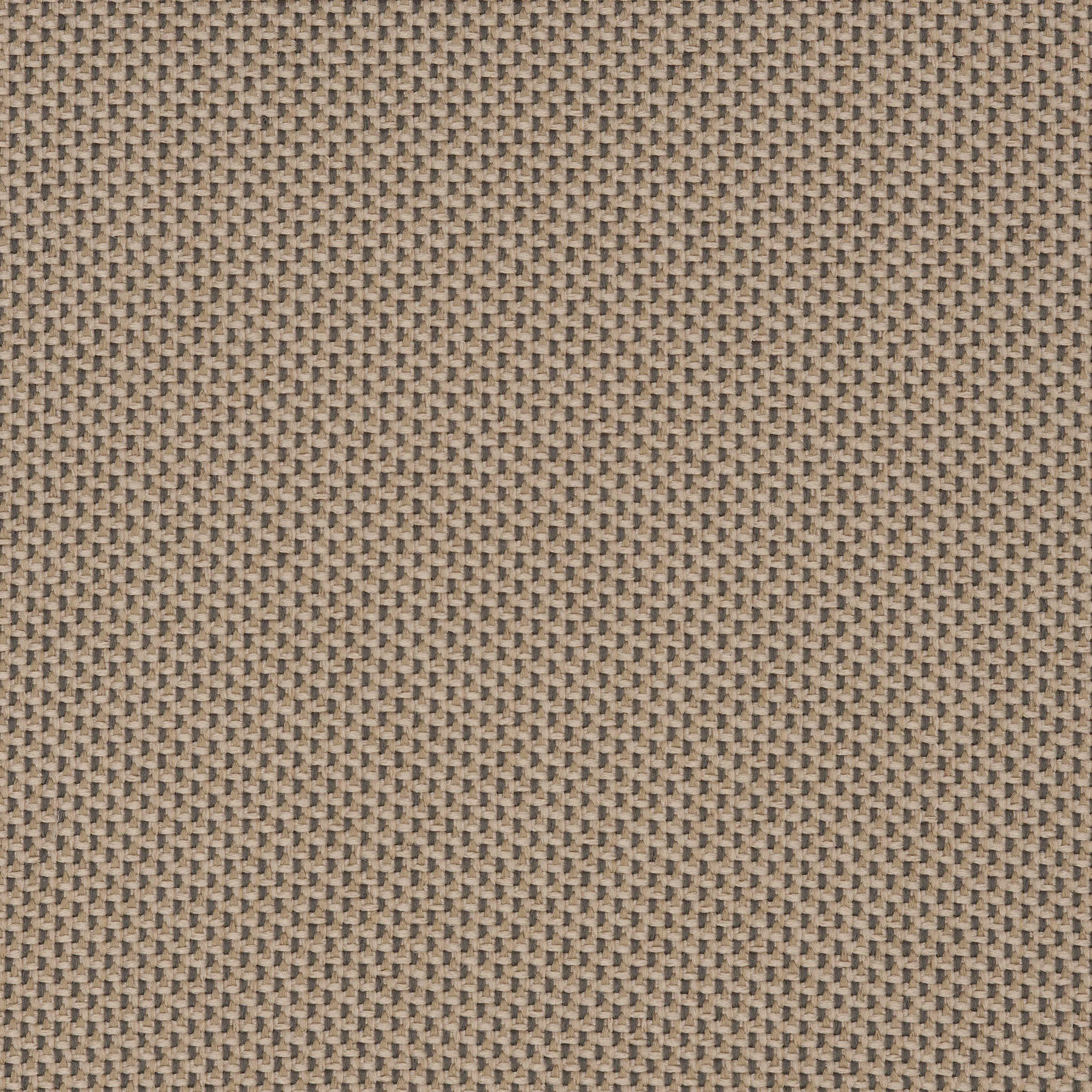 Camira_REP14 Camira_REP14