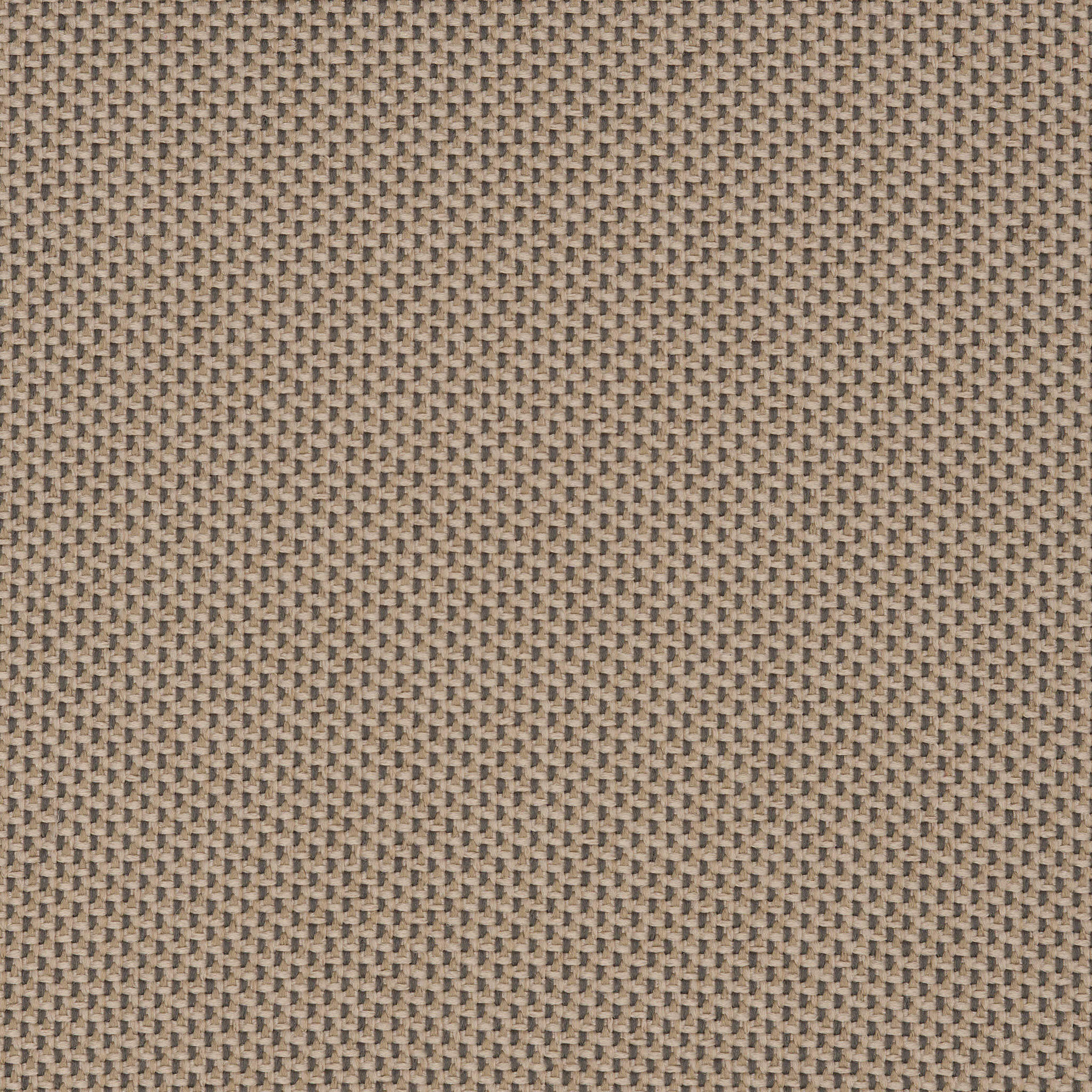 Camira_REP14