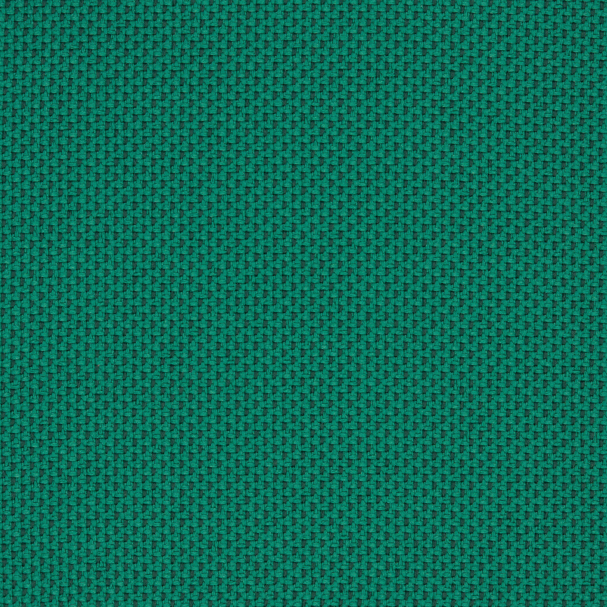 Camira_REP10