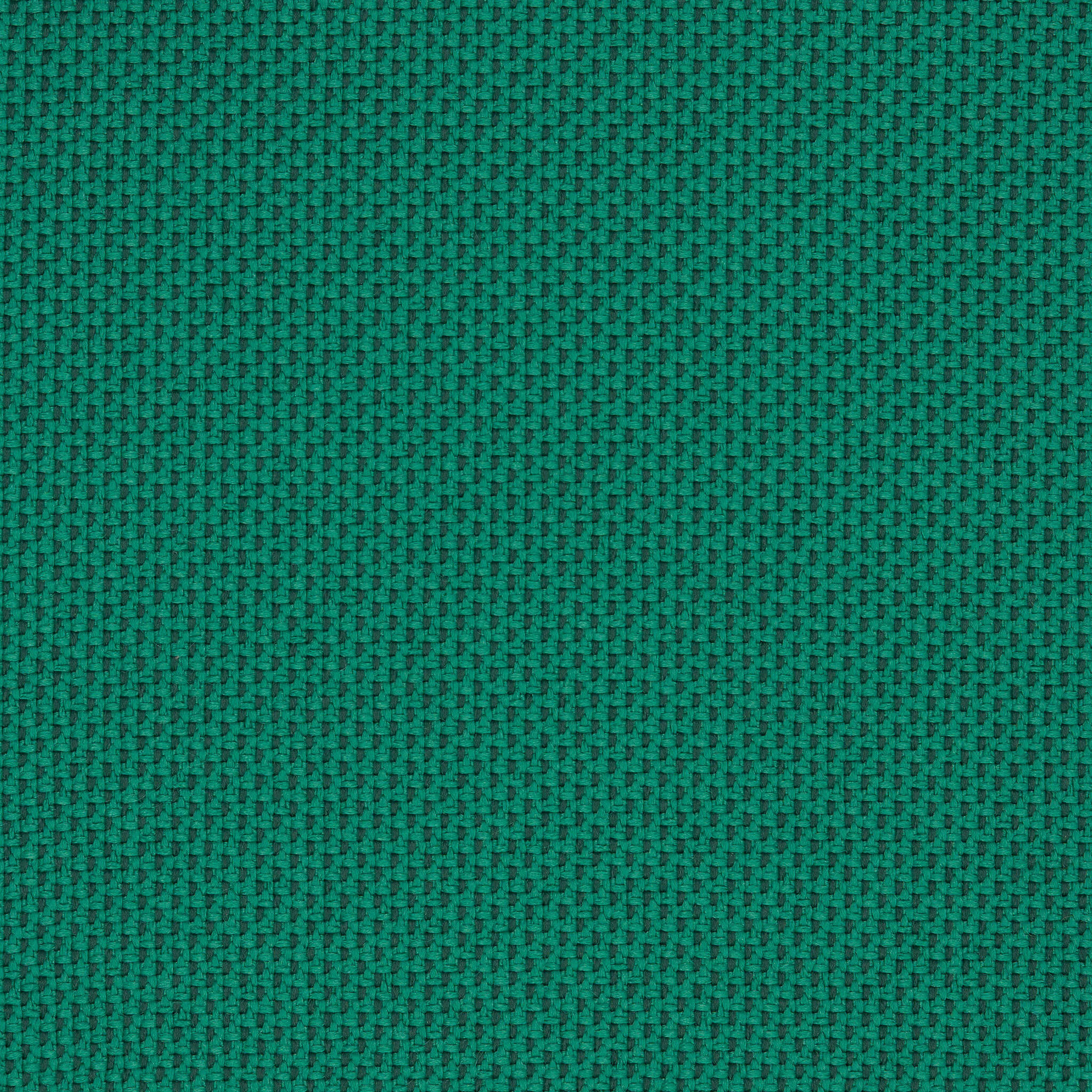 Camira_REP10 Camira_REP10