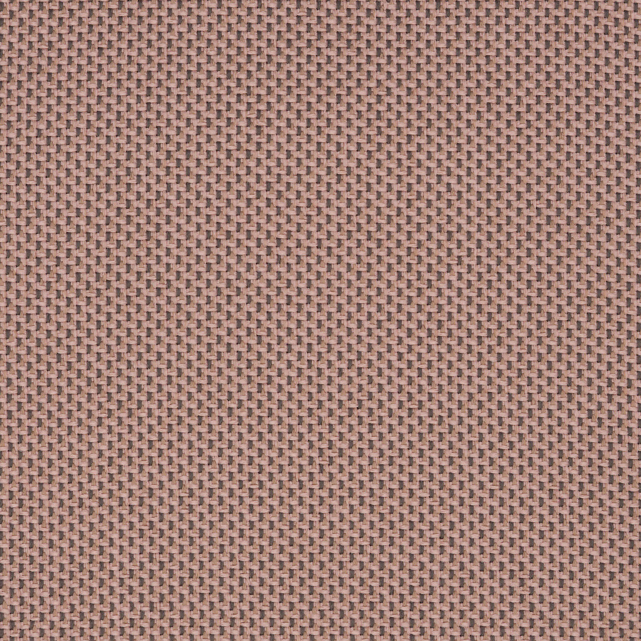 Camira_REP15