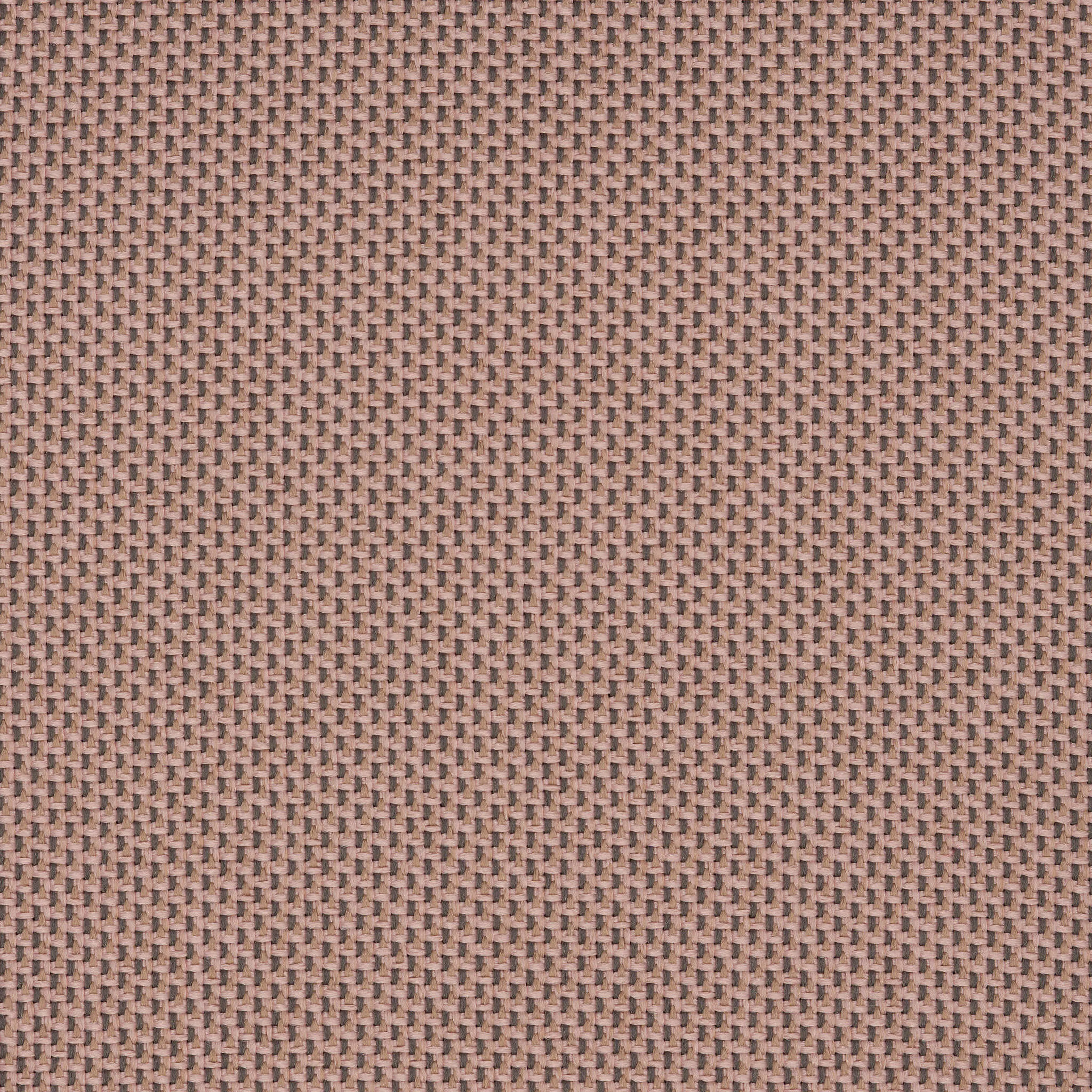 Camira_REP15 Camira_REP15