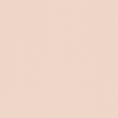 DEC08_WEB