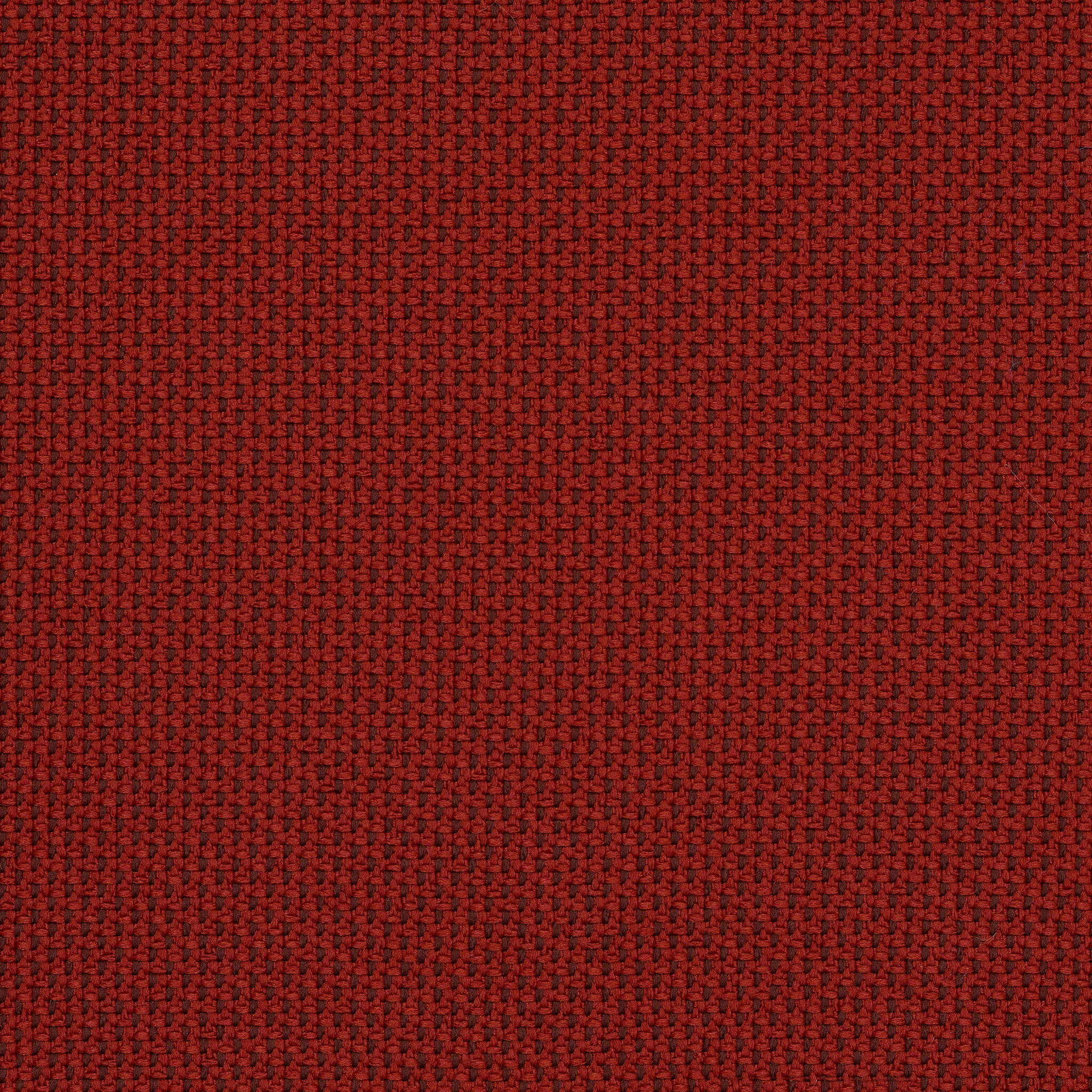 Camira_REP21