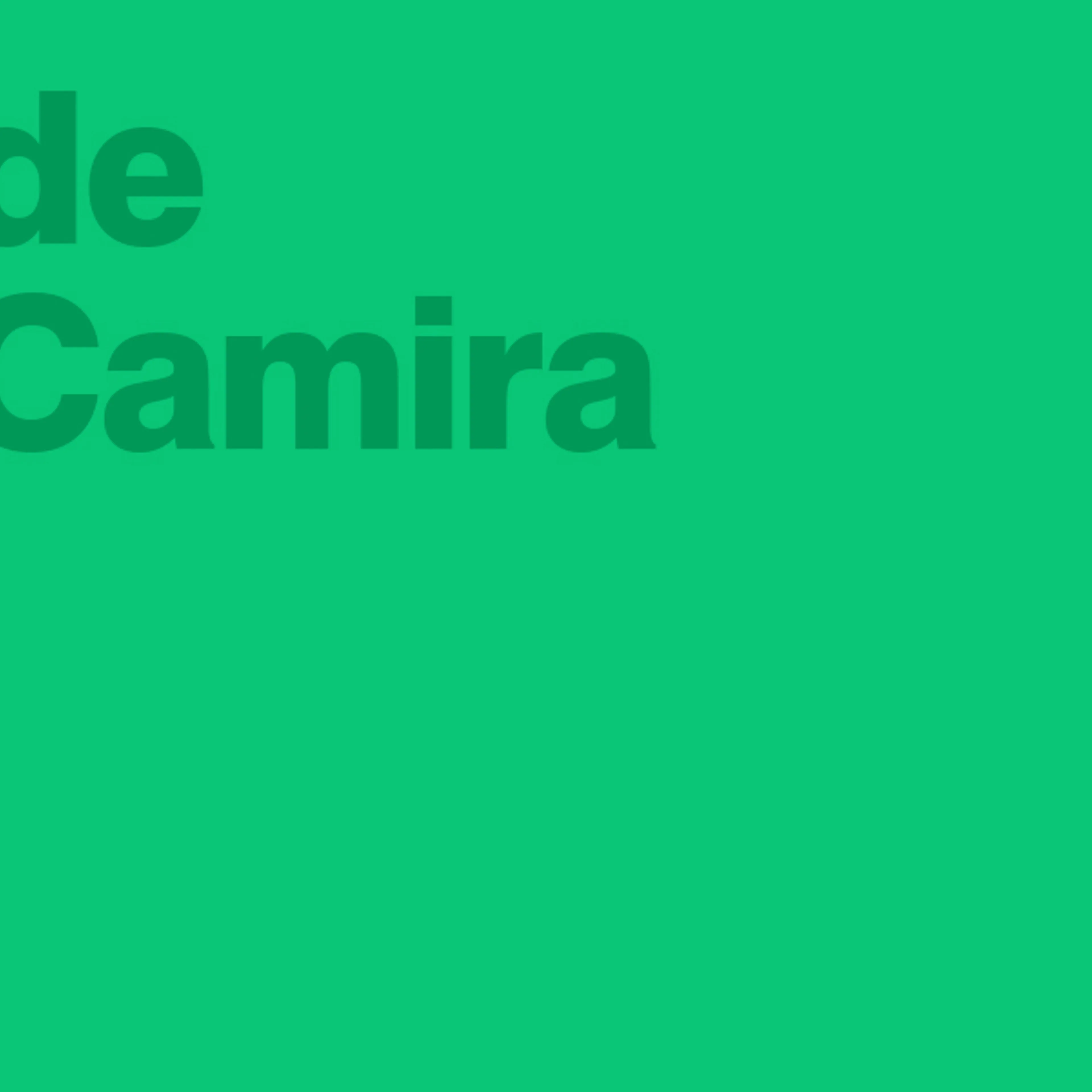 Camira Brand Book Camira Brand Book