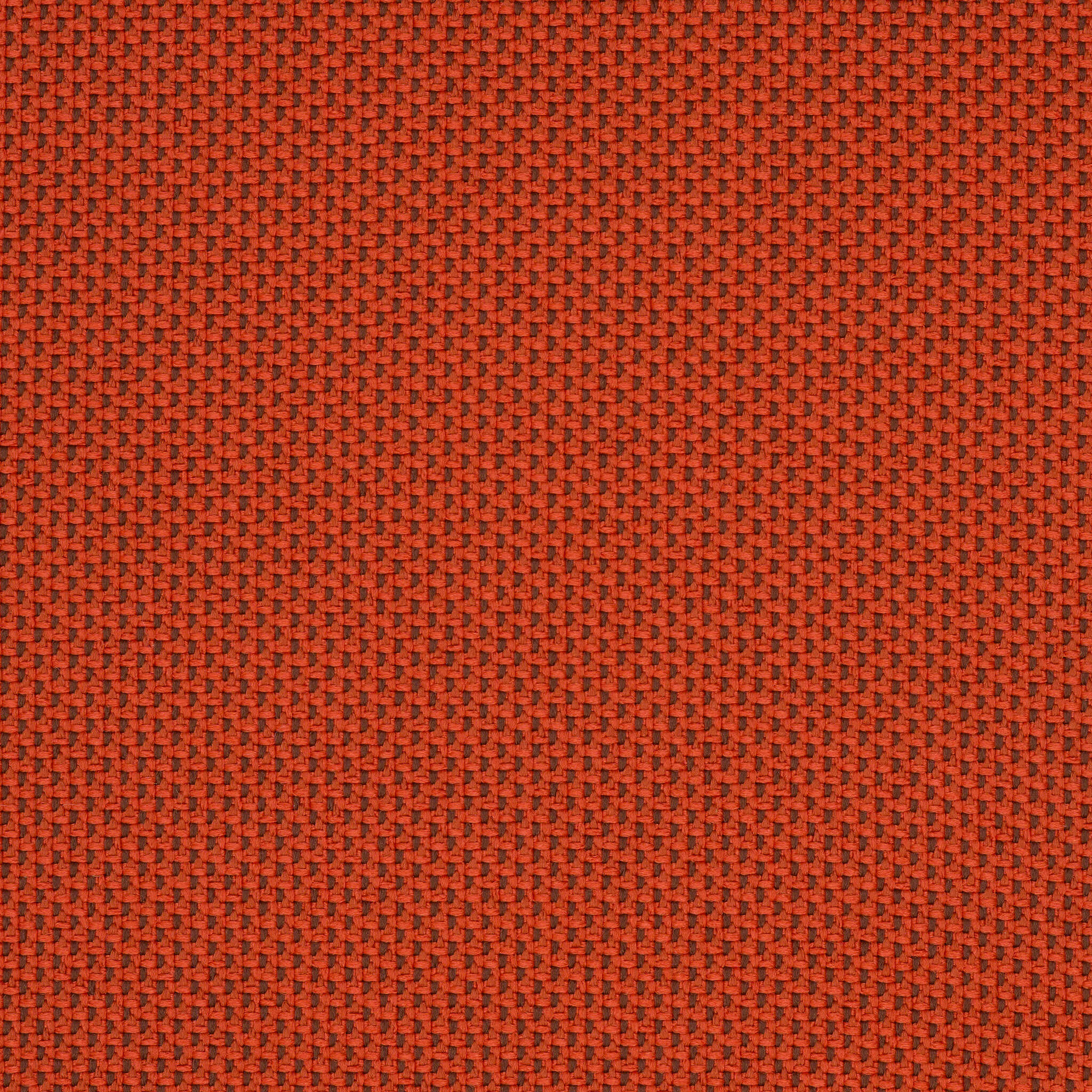 Camira_REP19