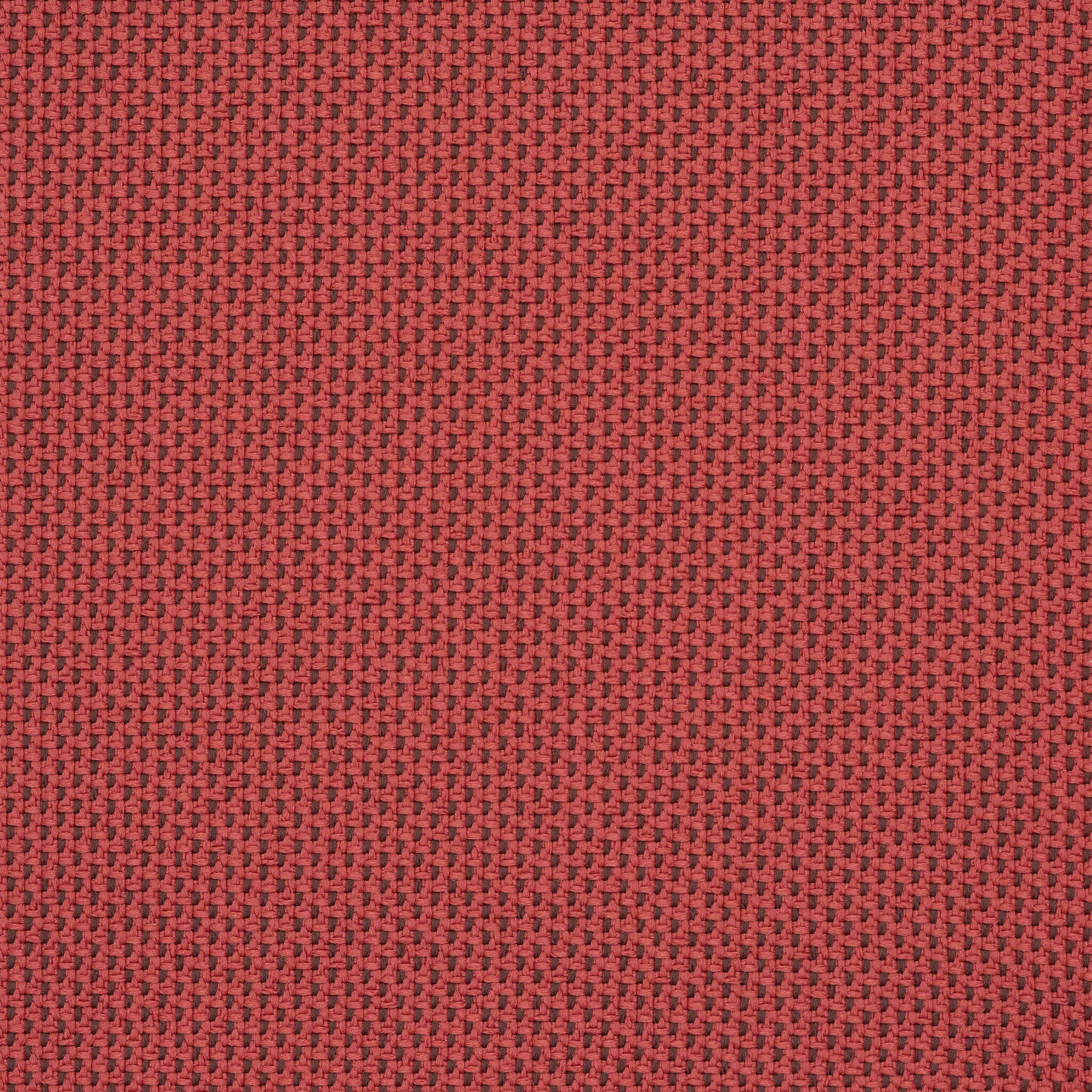 Camira_REP20