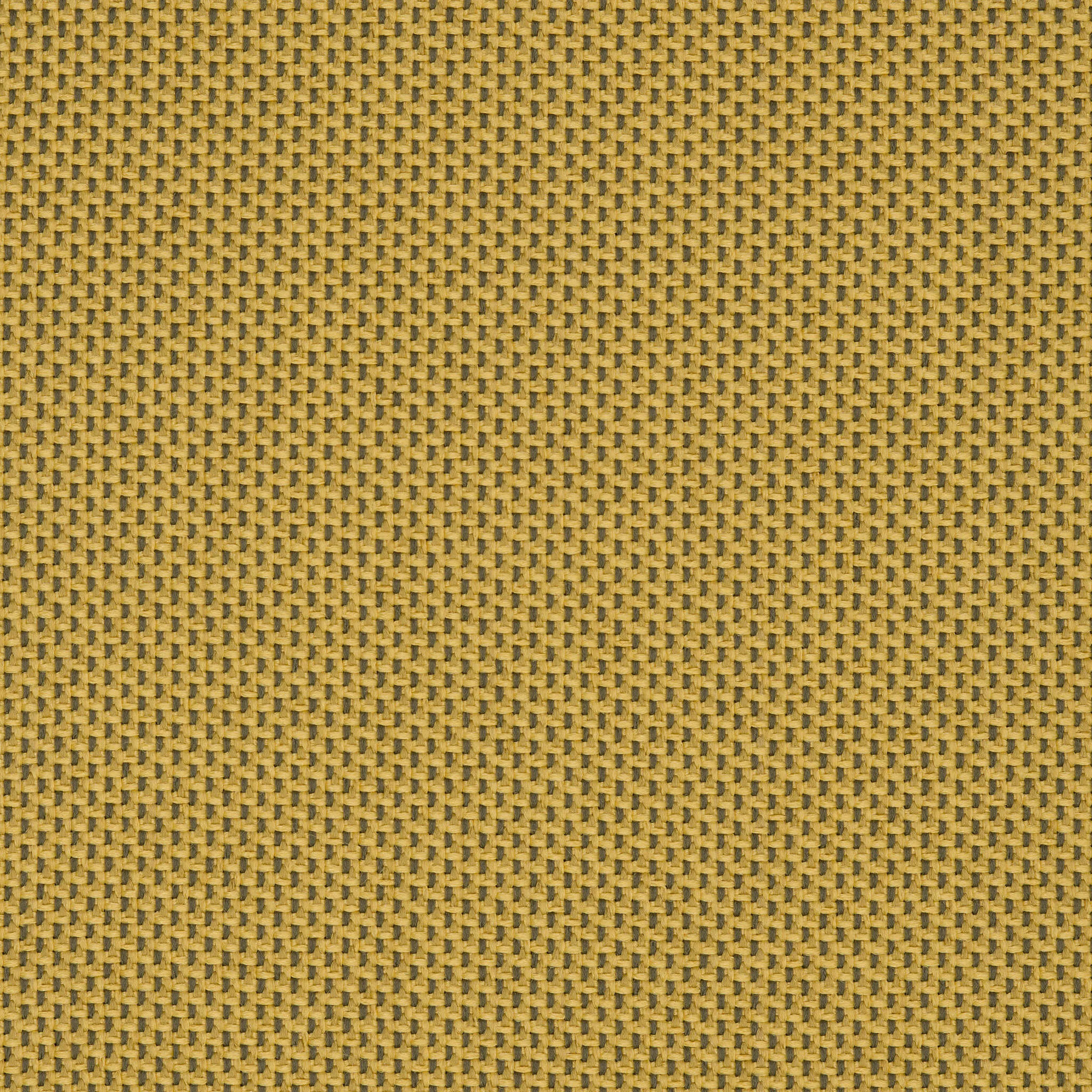 Camira_REP17 Camira_REP17