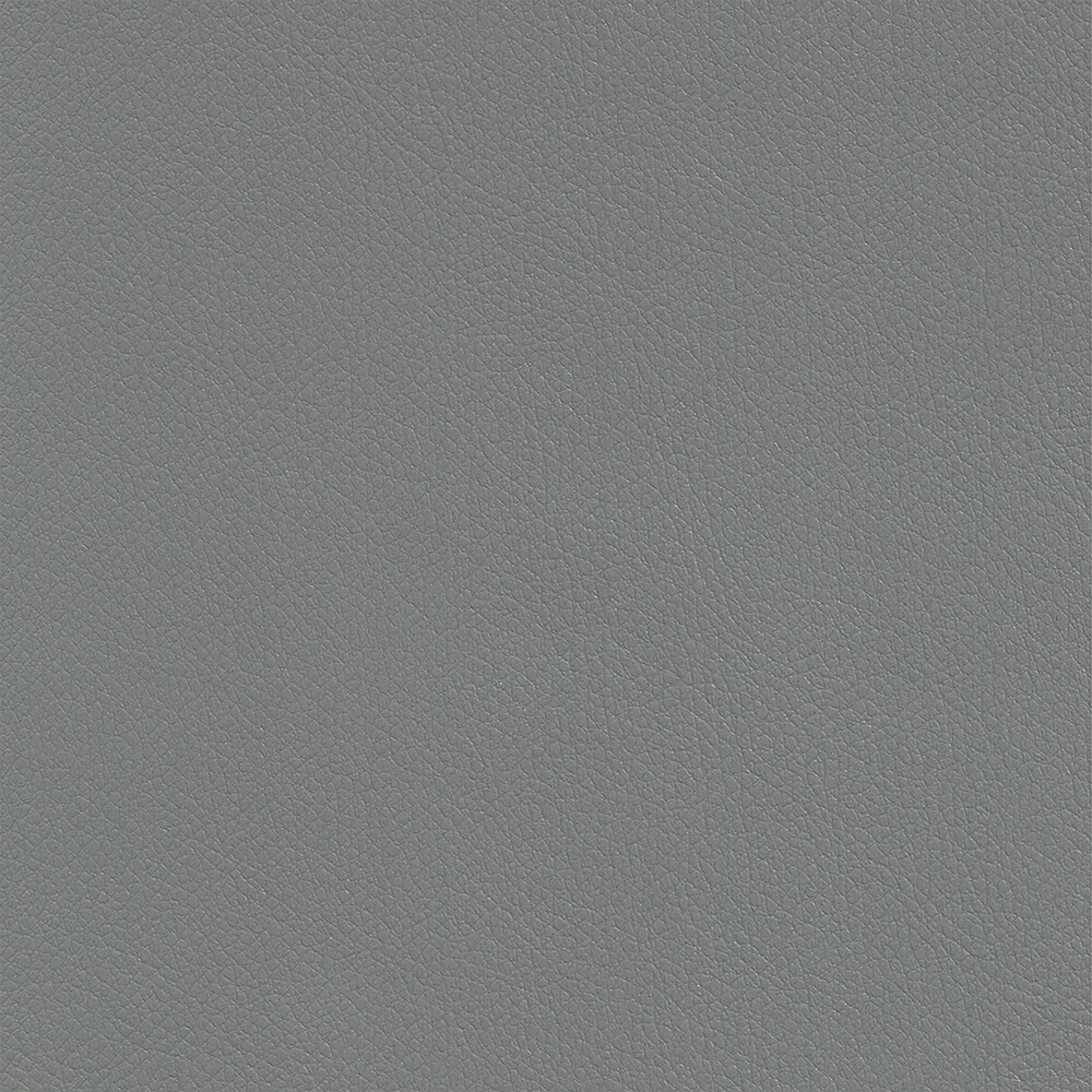 RAP01_WEB RAP01_WEB