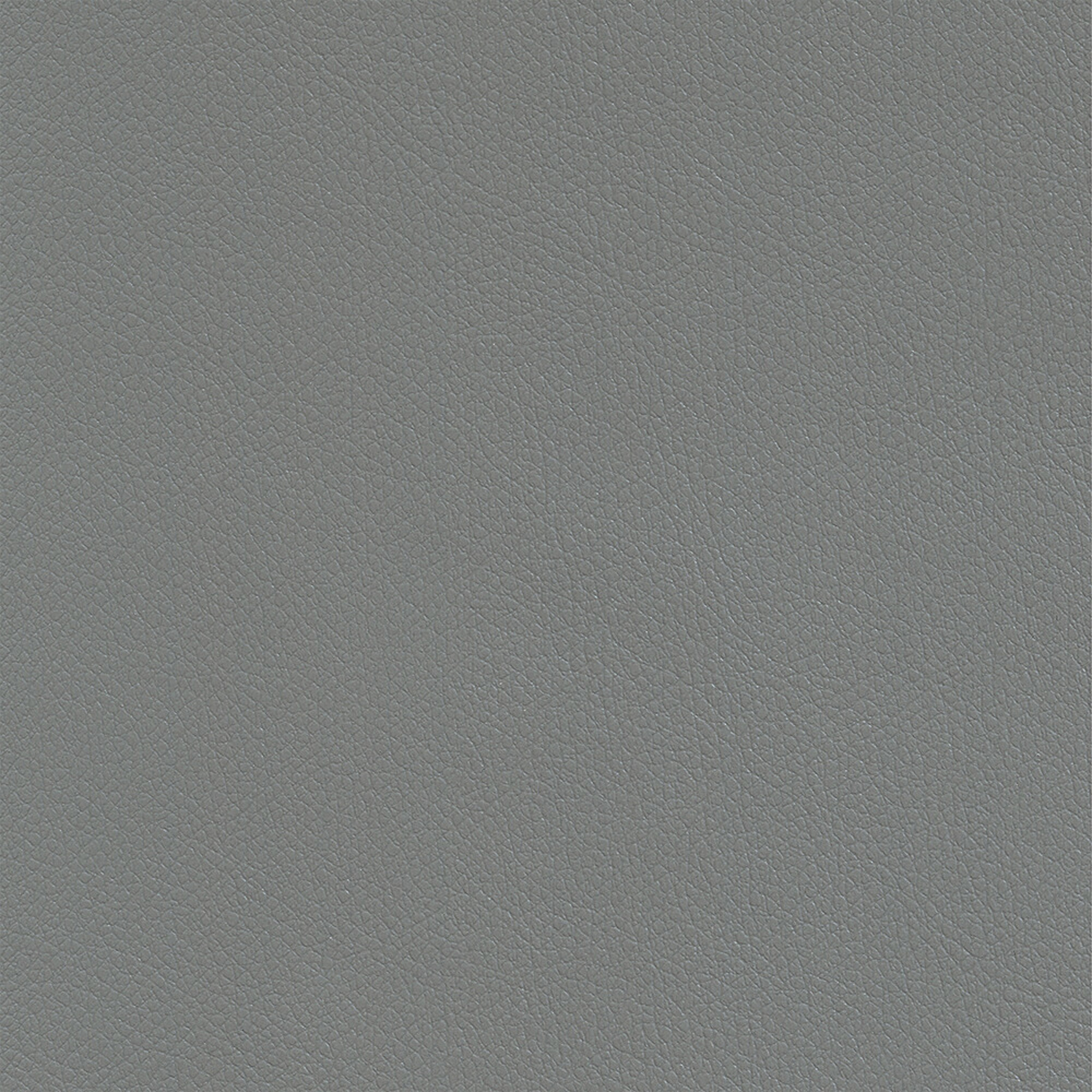 RAP01_WEB