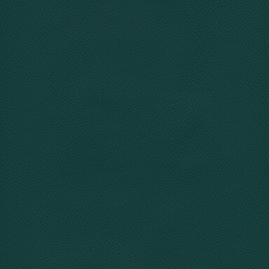 POT07