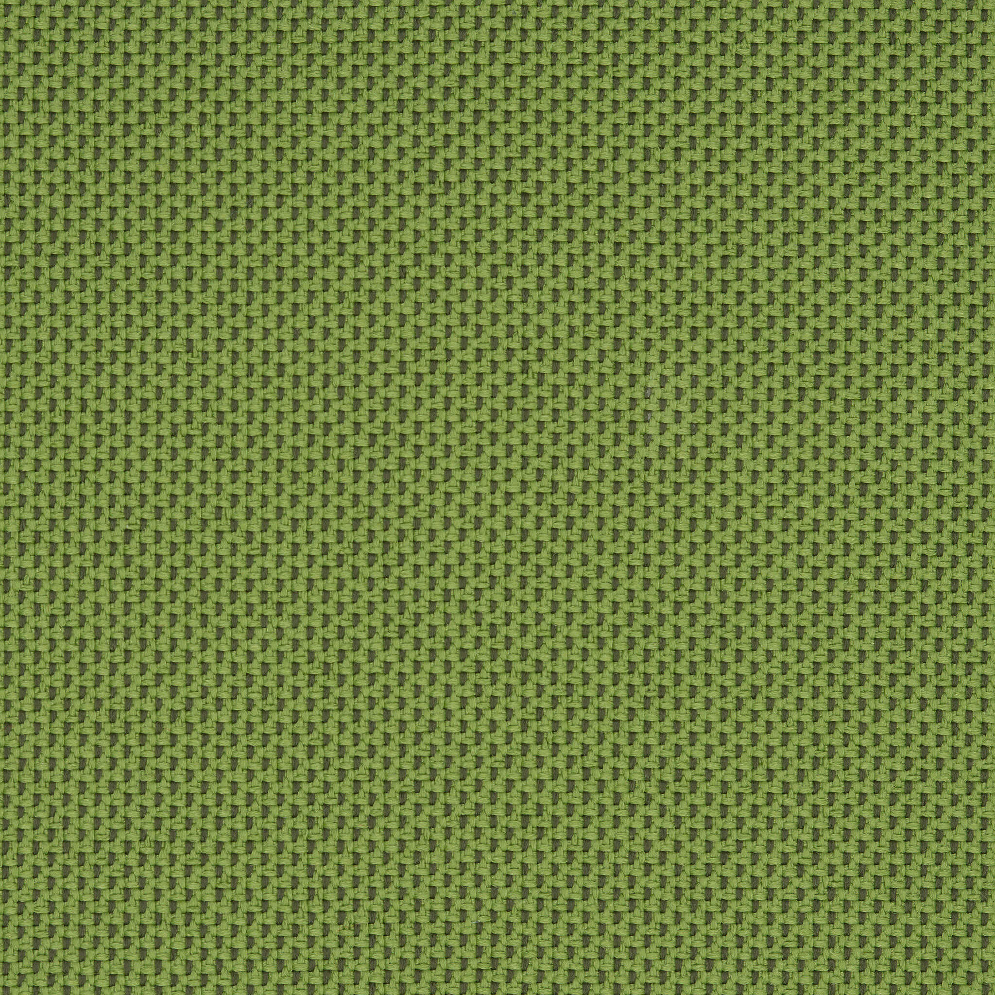 Camira_REP12