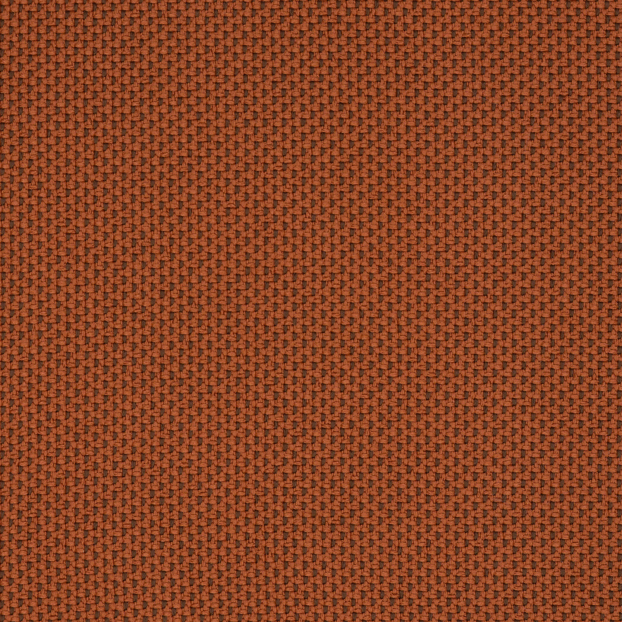Camira_REP18