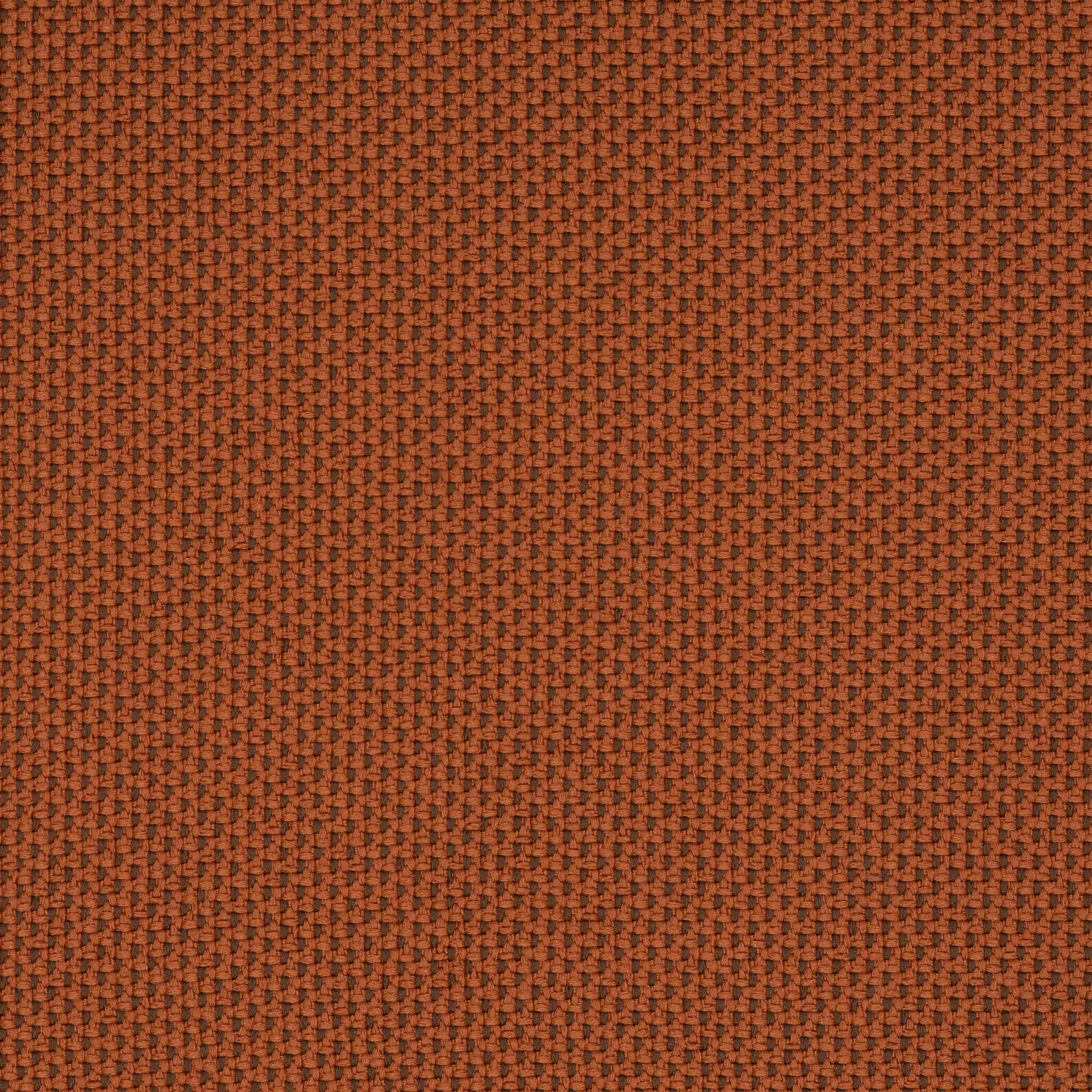 Camira_REP18 Camira_REP18