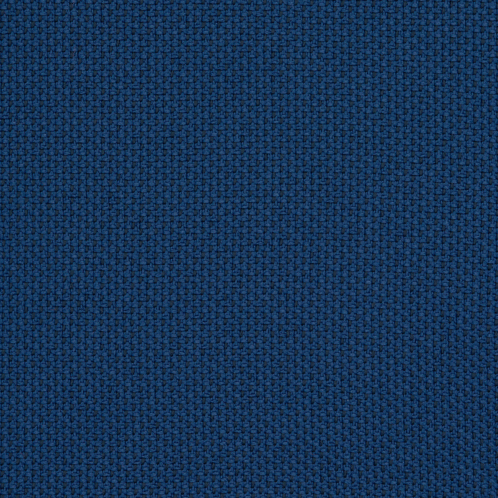 Camira_REP02