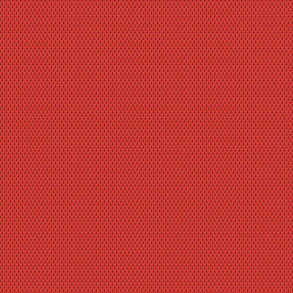 UNY04_WEB
