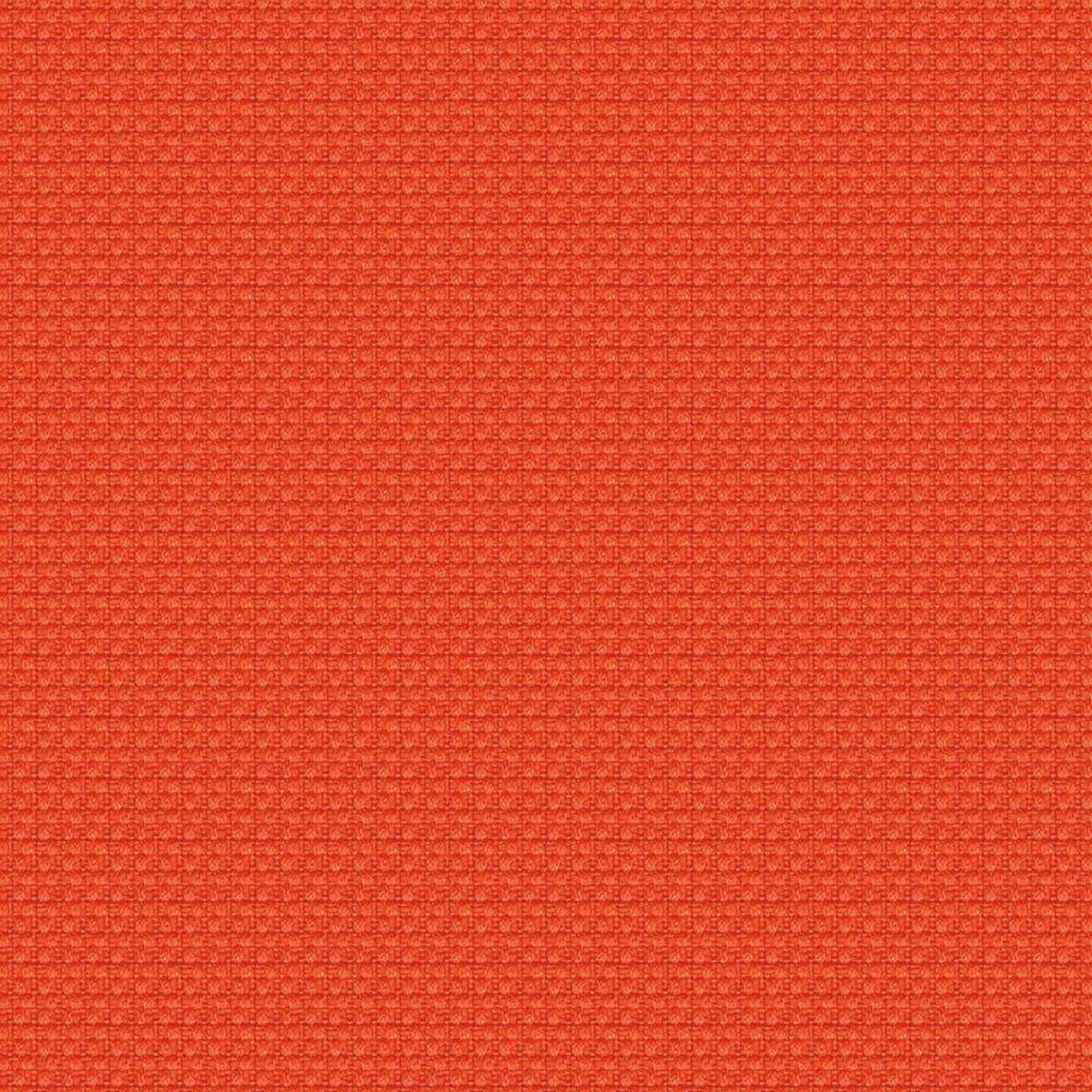 YI113_WEB YI113_WEB