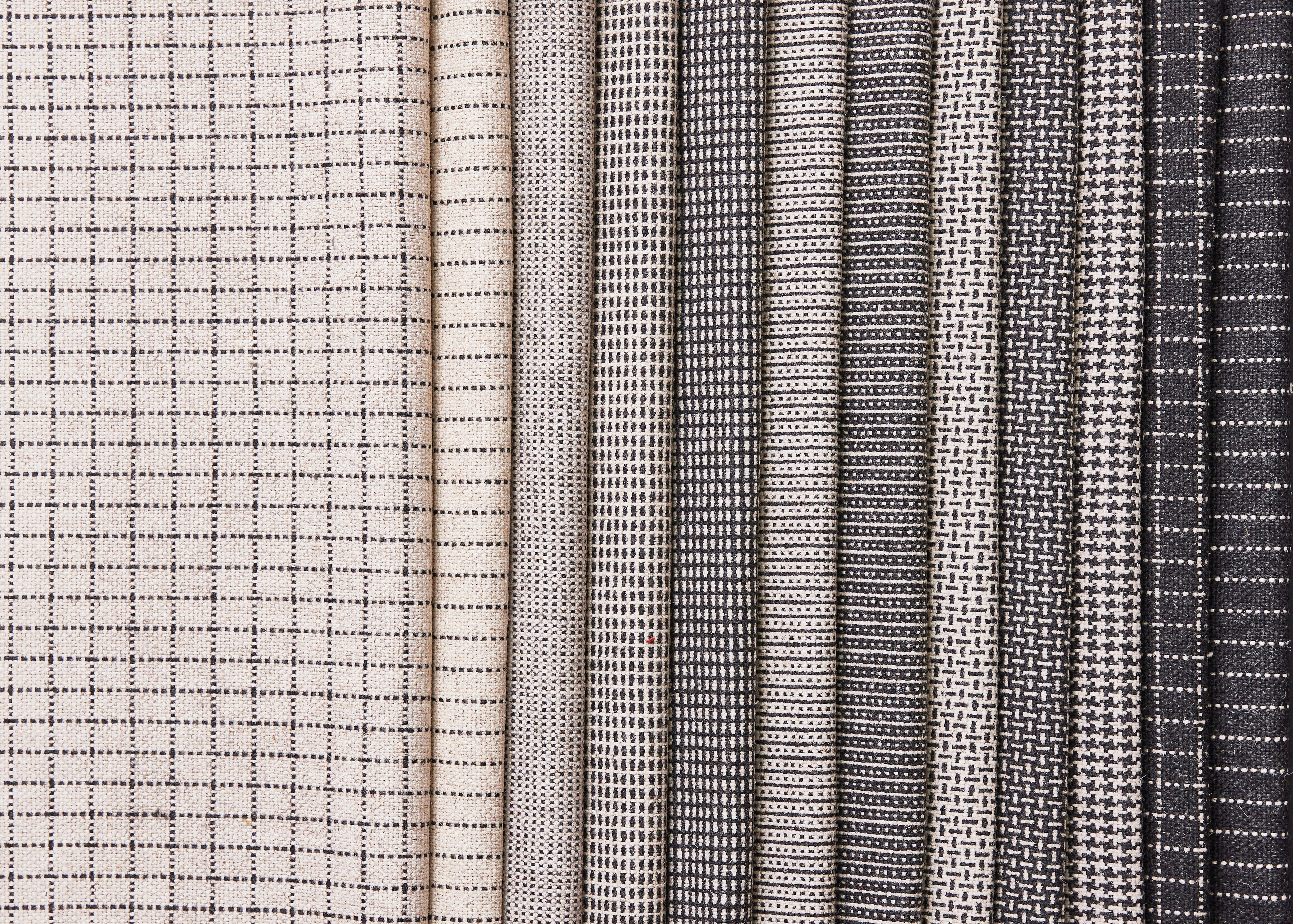 Camira's Incredible Women: Leading with Strength and Style 