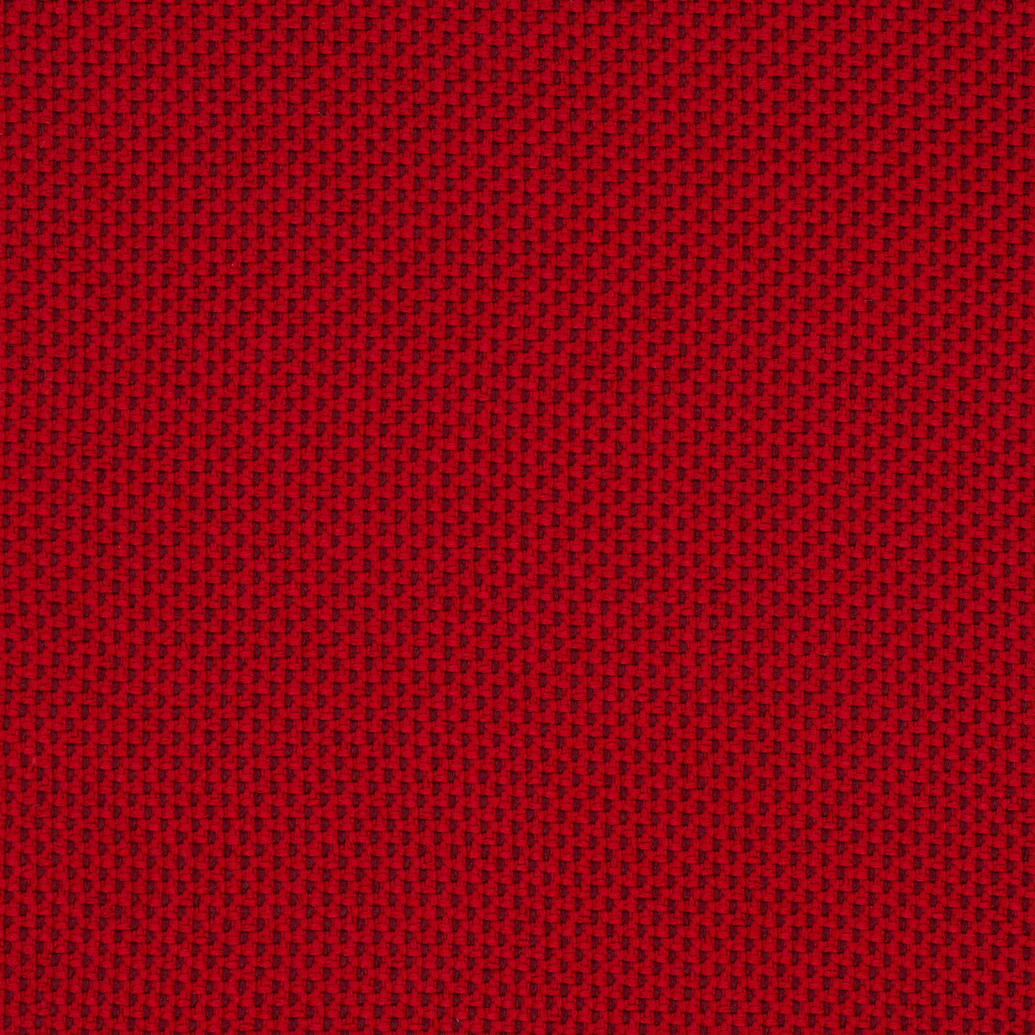 Camira_REP23