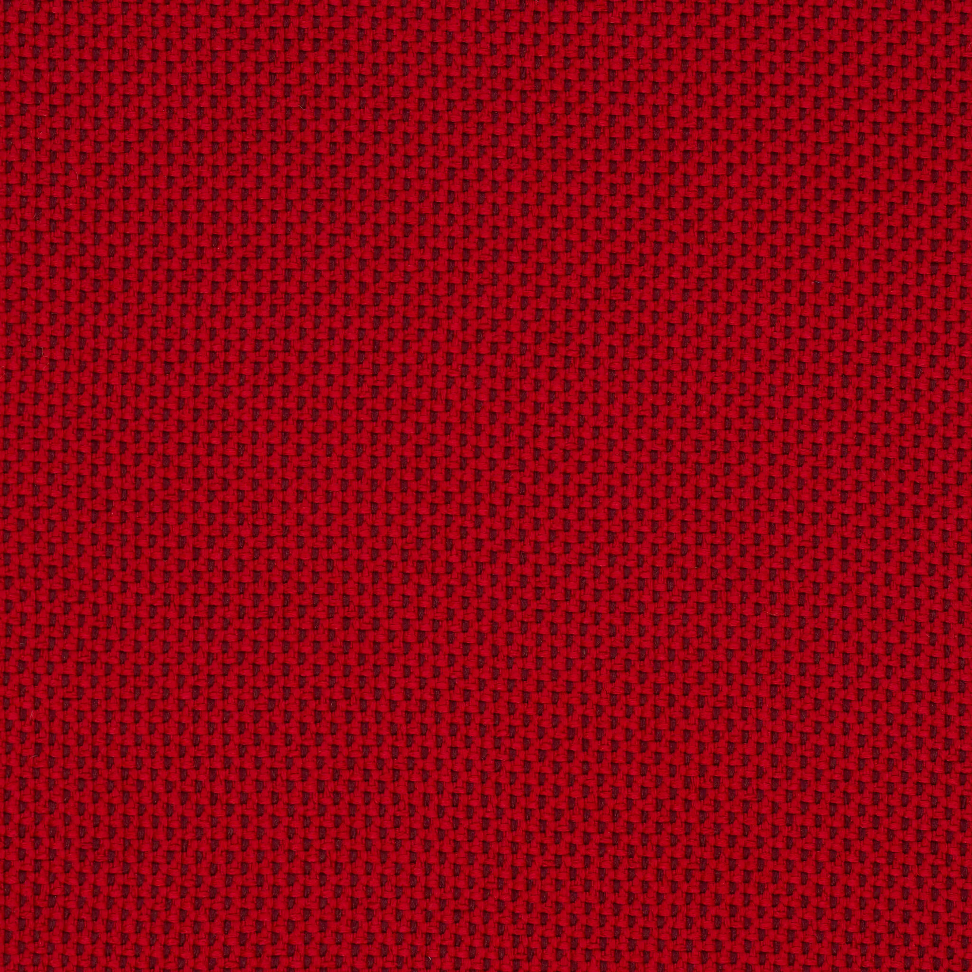 Camira_REP23 Camira_REP23