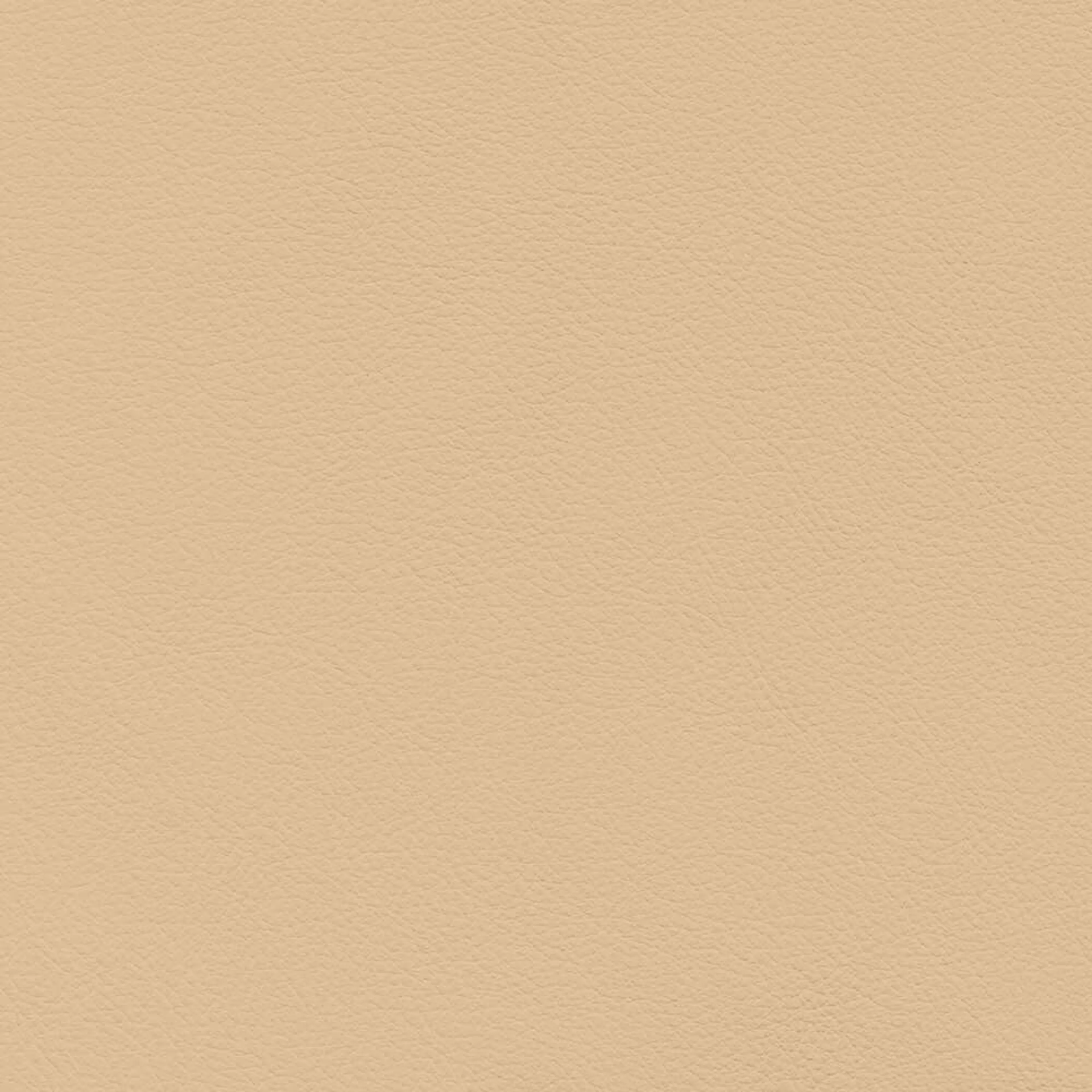 VIN22_WEB VIN22_WEB
