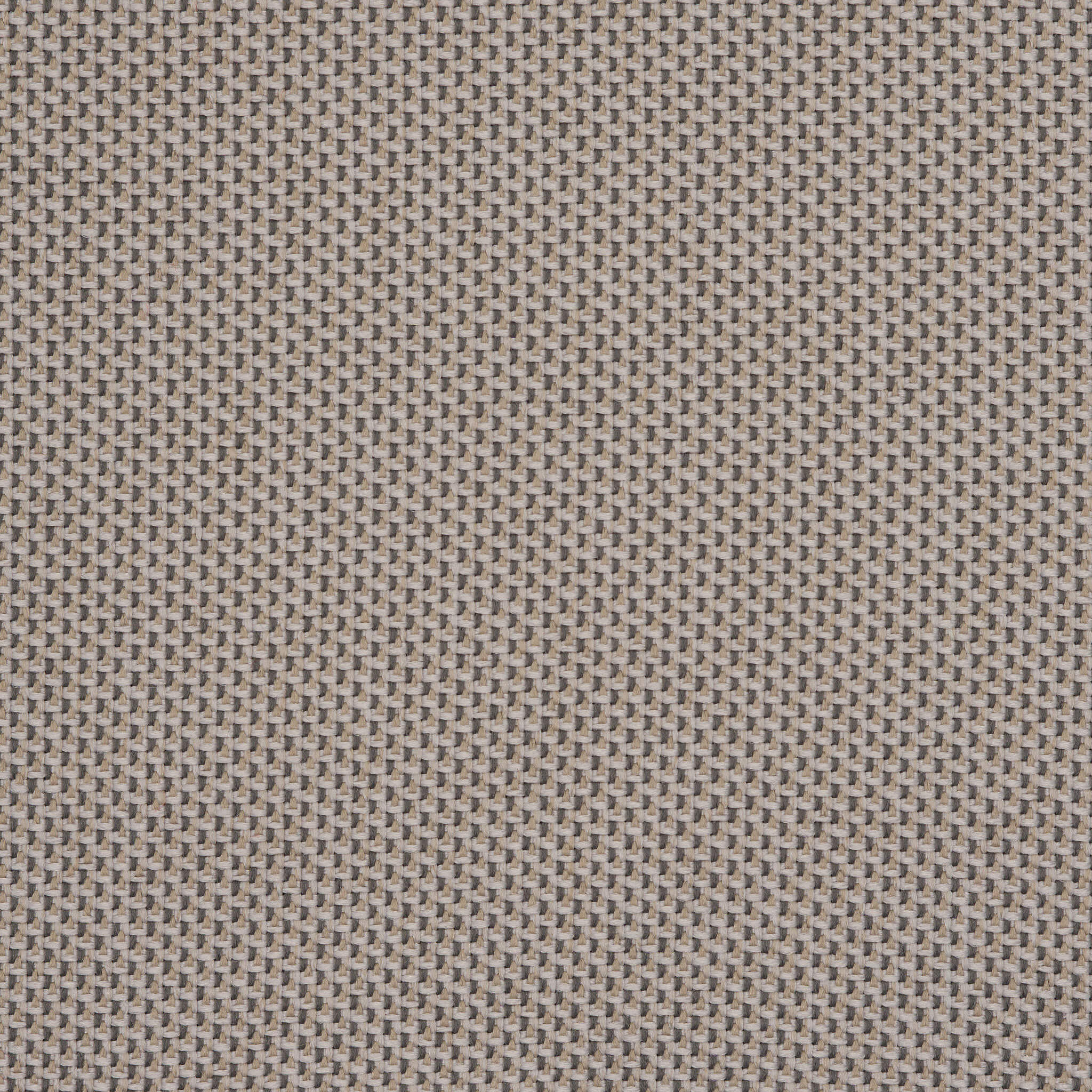 Camira_REP25