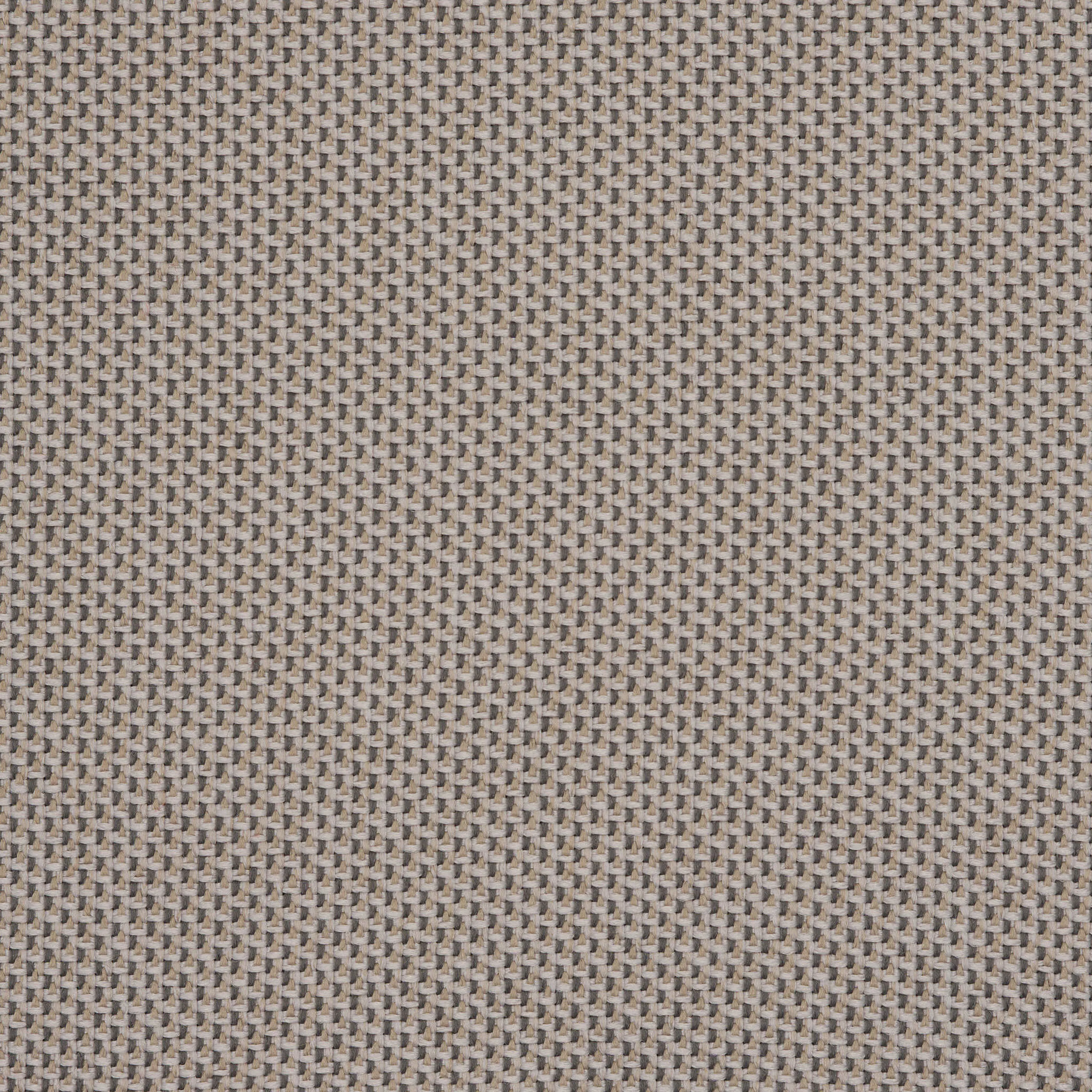 Camira_REP25 Camira_REP25