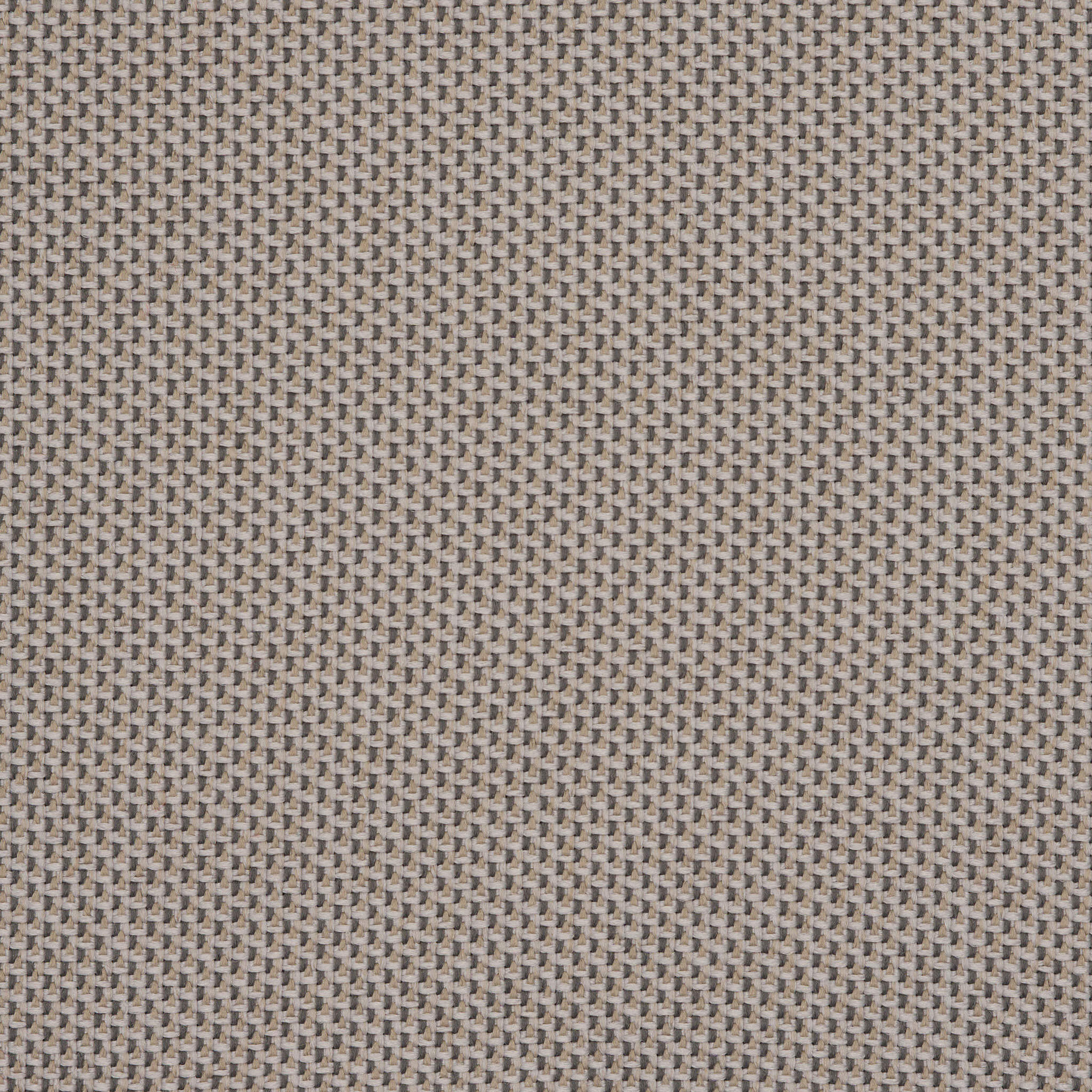 Camira_REP25