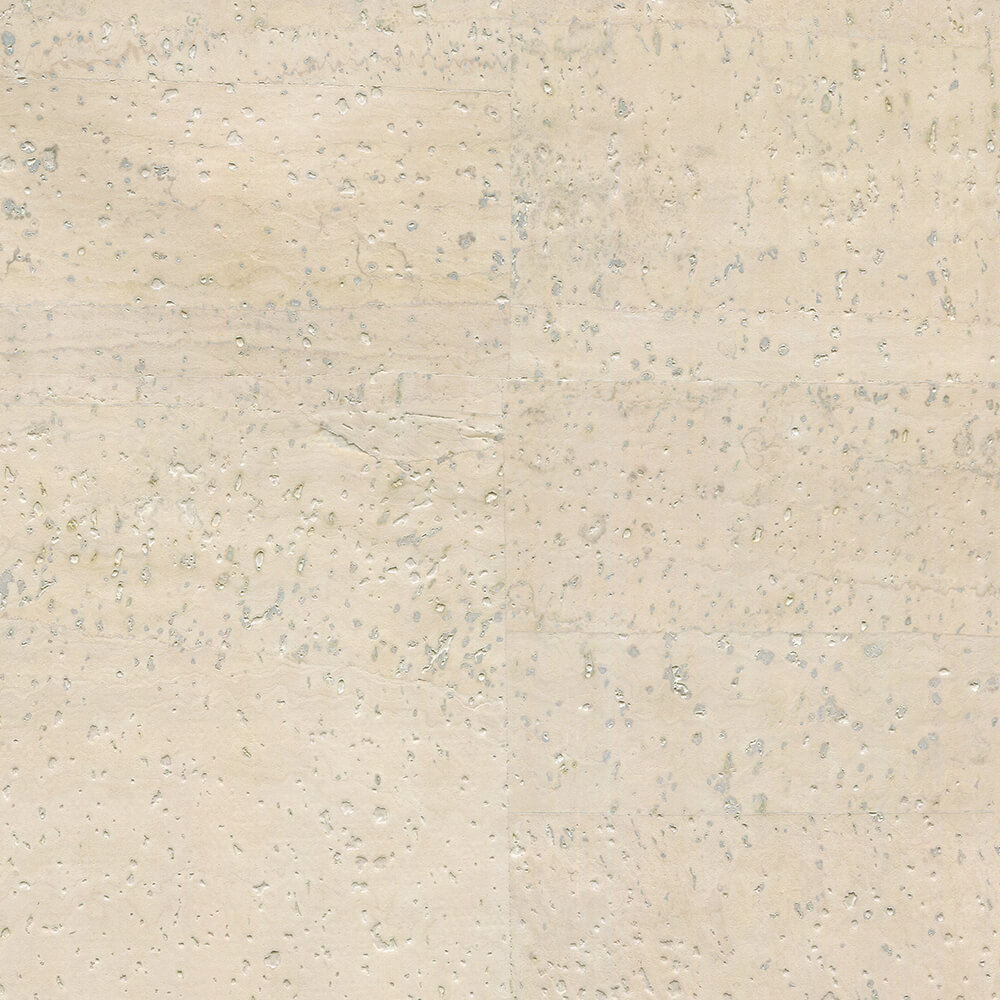 WIN01_WEB