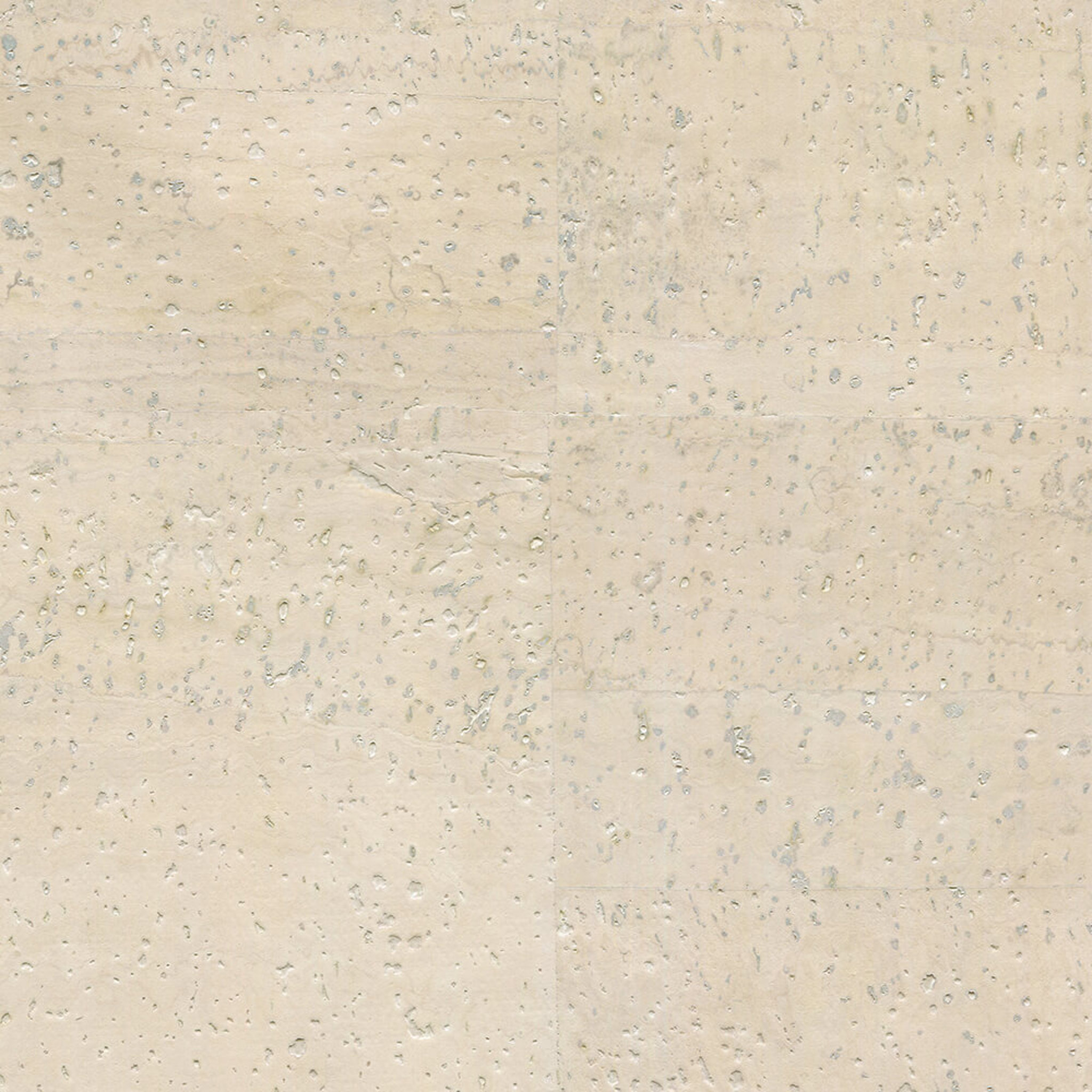 WIN01_WEB