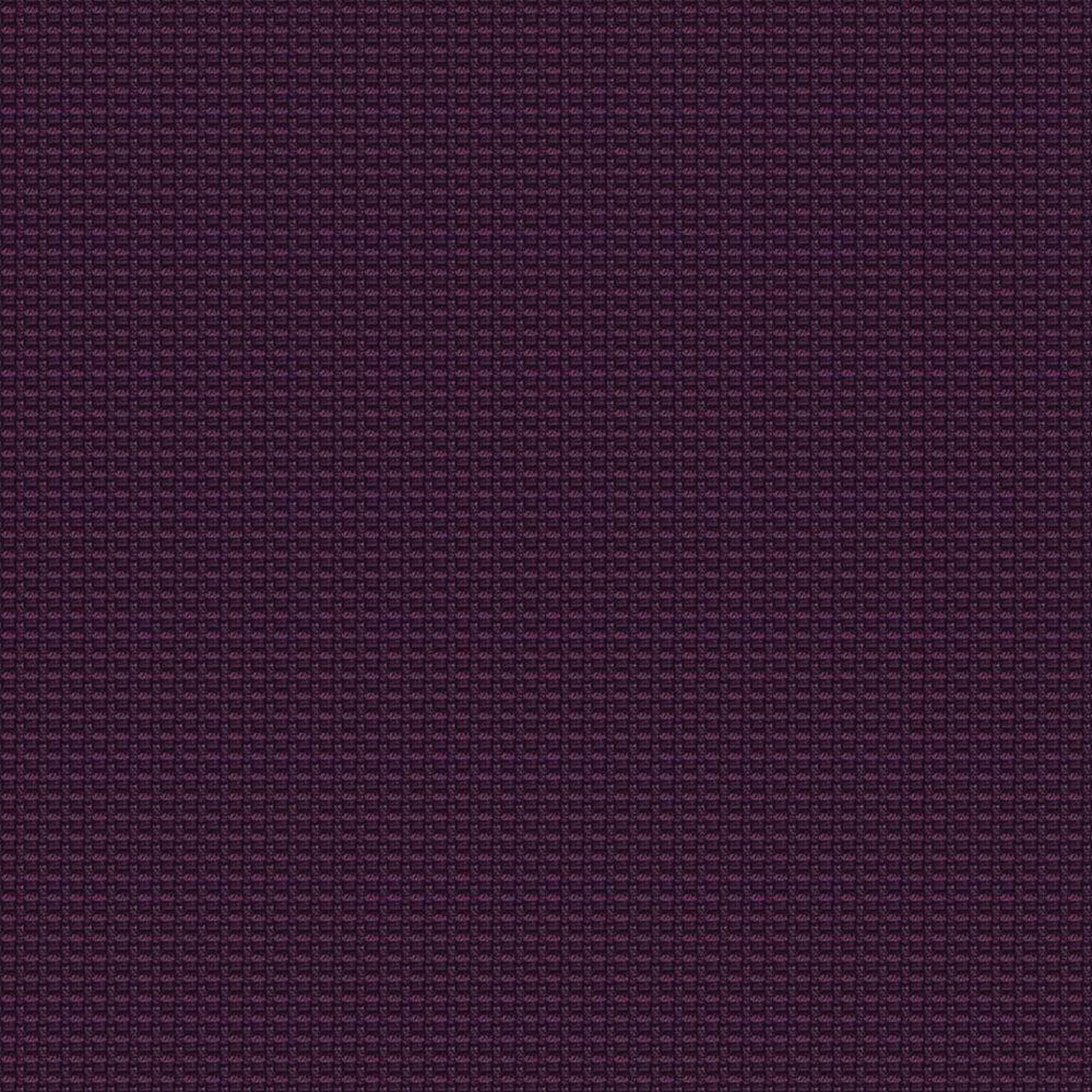 YN204_WEB YN204_WEB