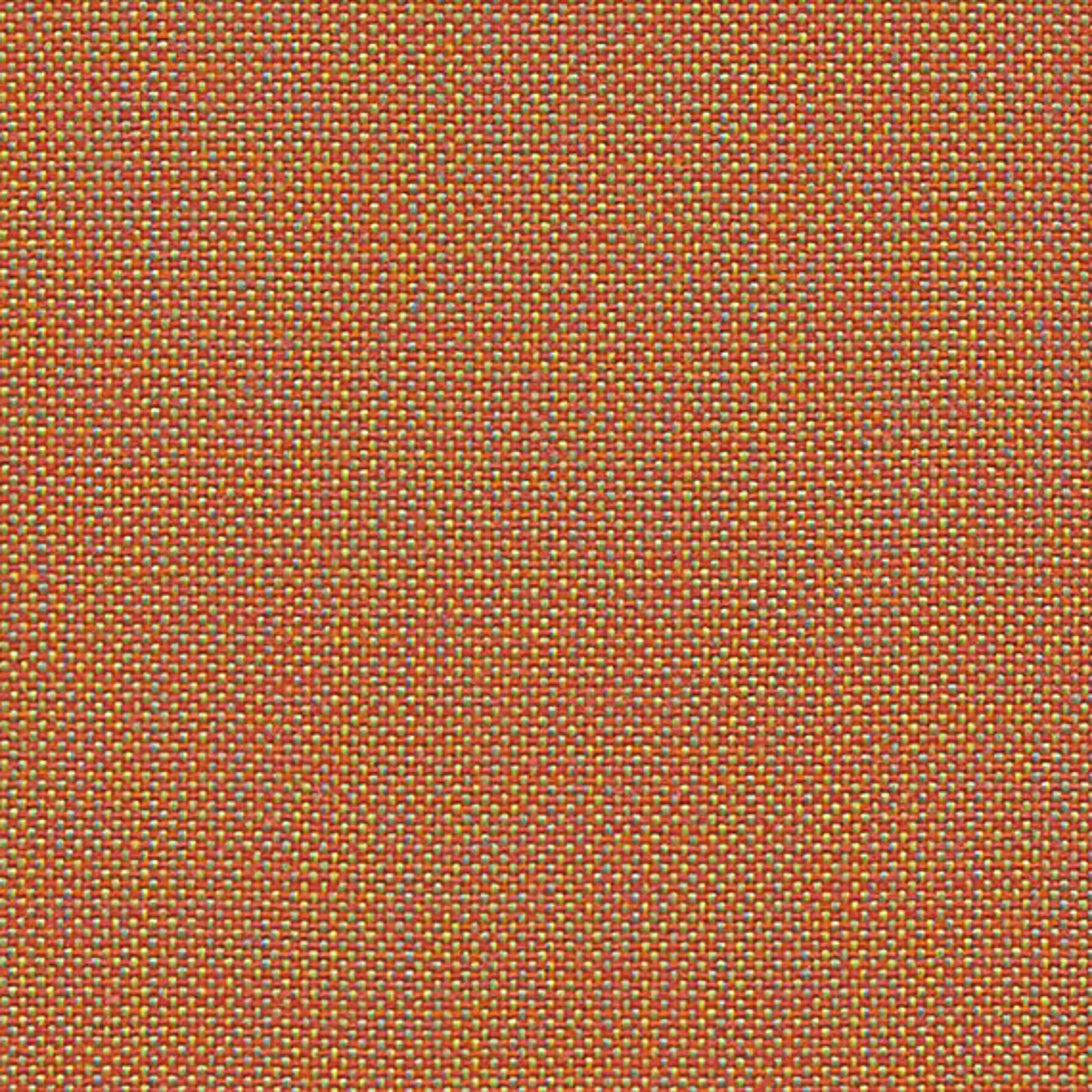 CLW06_WEB CLW06_WEB