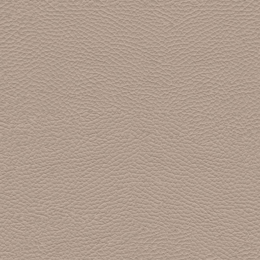 VAC44_WEB